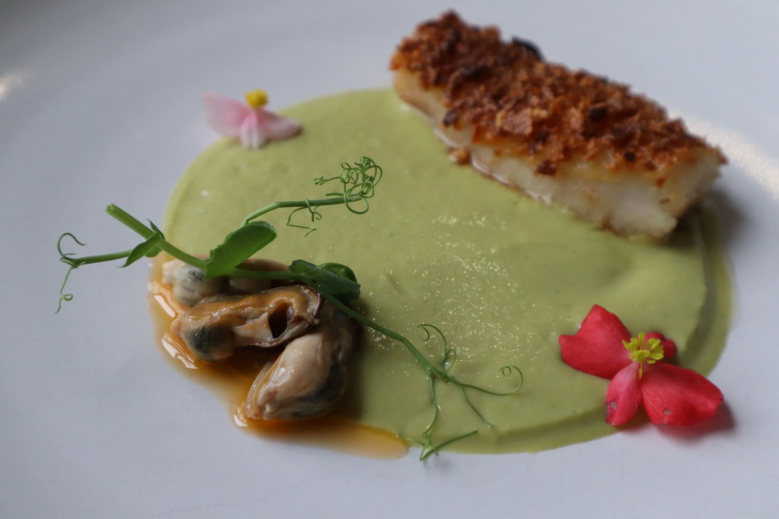 Gourmet dish with a piece of fried fish, green sauce, oysters, edible flowers, and microgreens on a white plate.