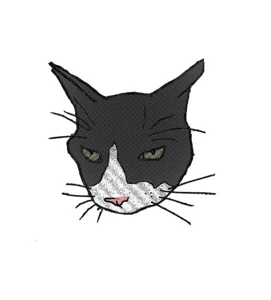 big cat productions