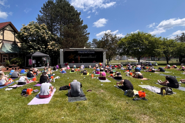 2nd Annual Summer Sol: Yoga + wellness festival