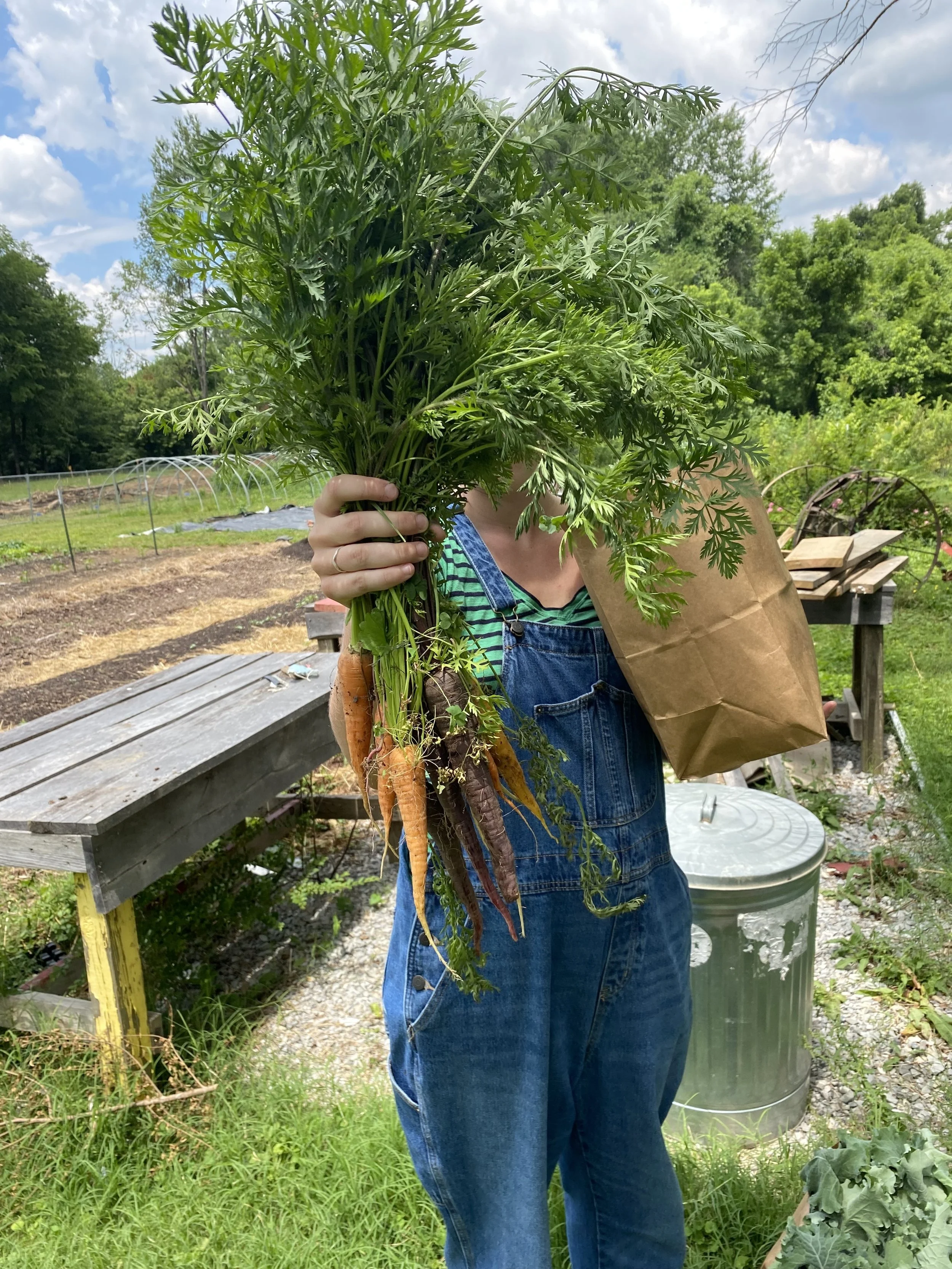 Community Gardens