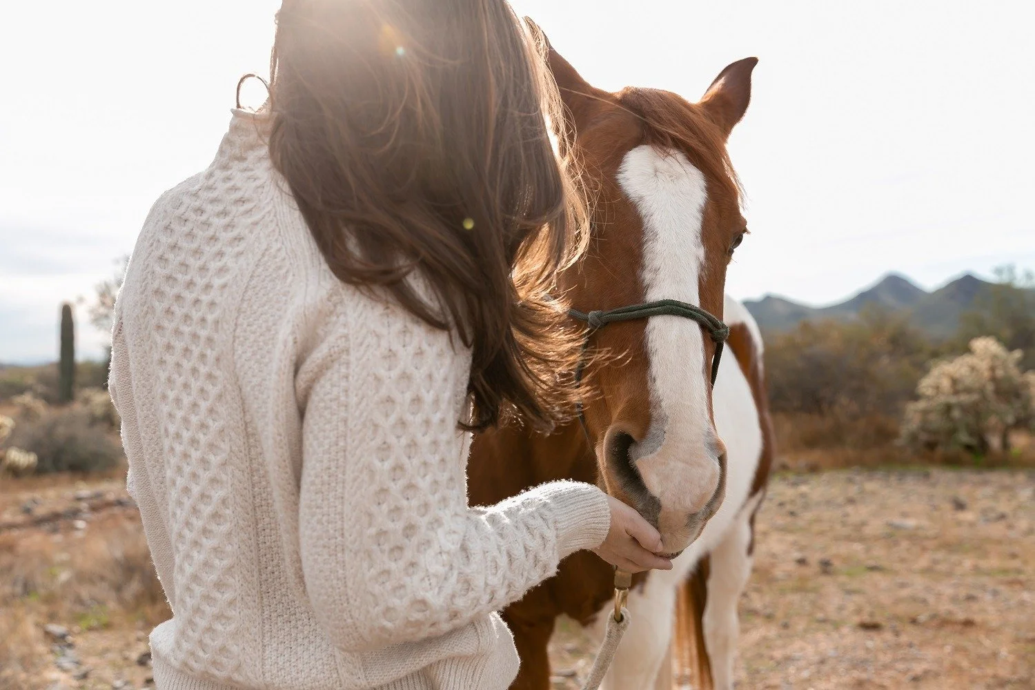 equine therapy CIVANA.jpg