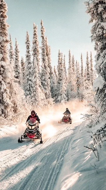 Two people riding snowmobiles through a snowy forest with tall snow-covered trees.