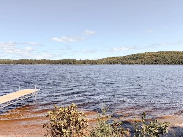 A lakeshore view with a small dock extending into the water, bushes in the foreground, and a tree-covered hill in the distance under a partly cloudy sky.