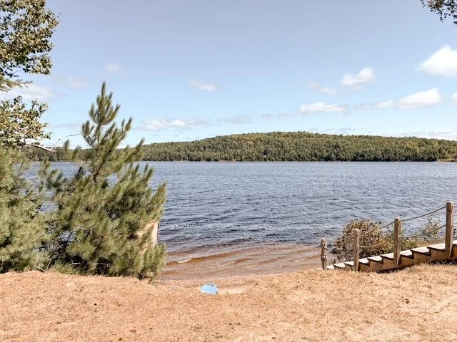 A lakeside scene with a sandy beach, a small pine tree, a wooden staircase leading to the water, and a forested hill in the background under a partly cloudy sky.