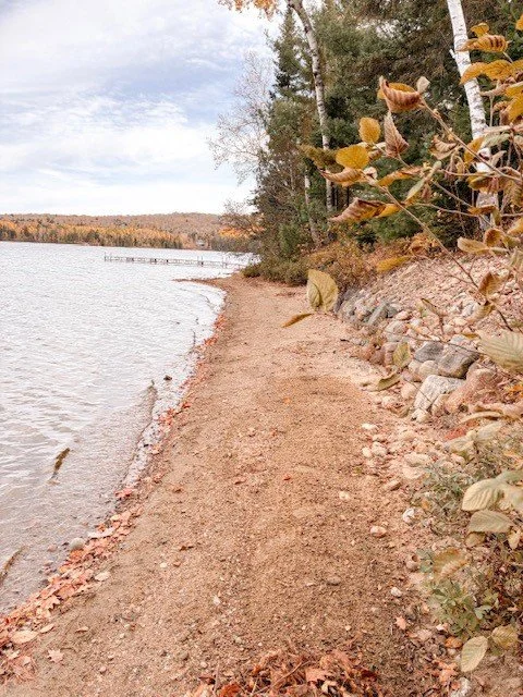 A sandy lakeside path with a rocky embankment on one side and tall trees with autumn leaves.