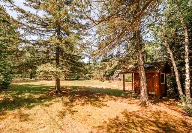 A small wooden cabin with a porch is nestled among tall trees in a grassy clearing, with sunlight casting shadows on the ground.