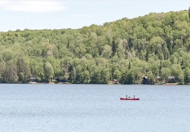 A red canoe with four people paddling on a lake, with a forested hillside in the background.