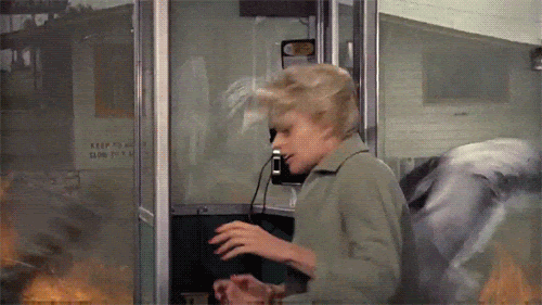 Scene from the movie, The Birds, where birds are dive-bombing Tippi Hendren