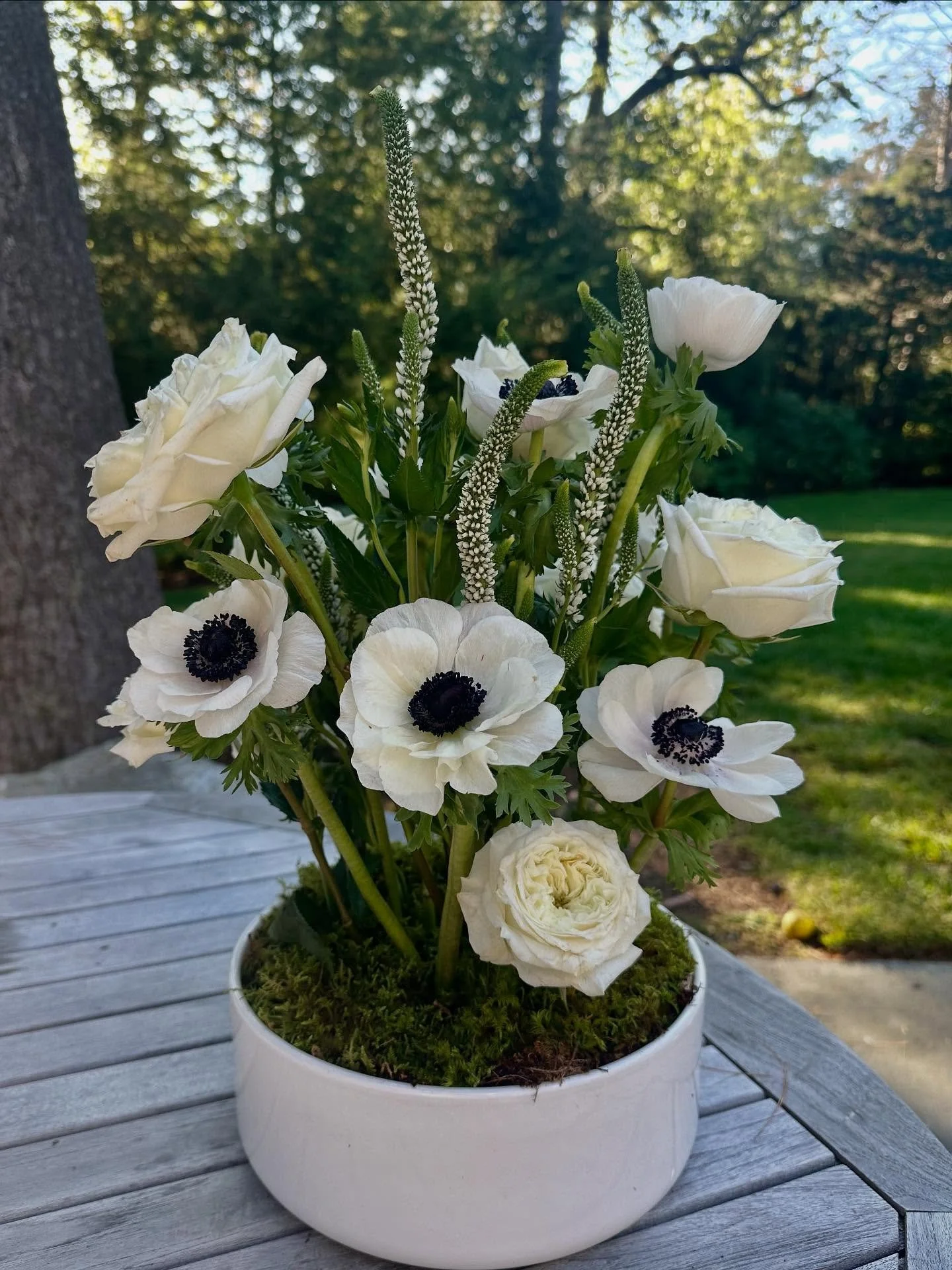 Congratulations to @lynndonahuerealtor and the entire Donahue, Maley &amp; Burns team on reaching five years of success. This milestone is a testament to your dedication, hard work, and the trust you&rsquo;ve built with your clients. It was such a pr