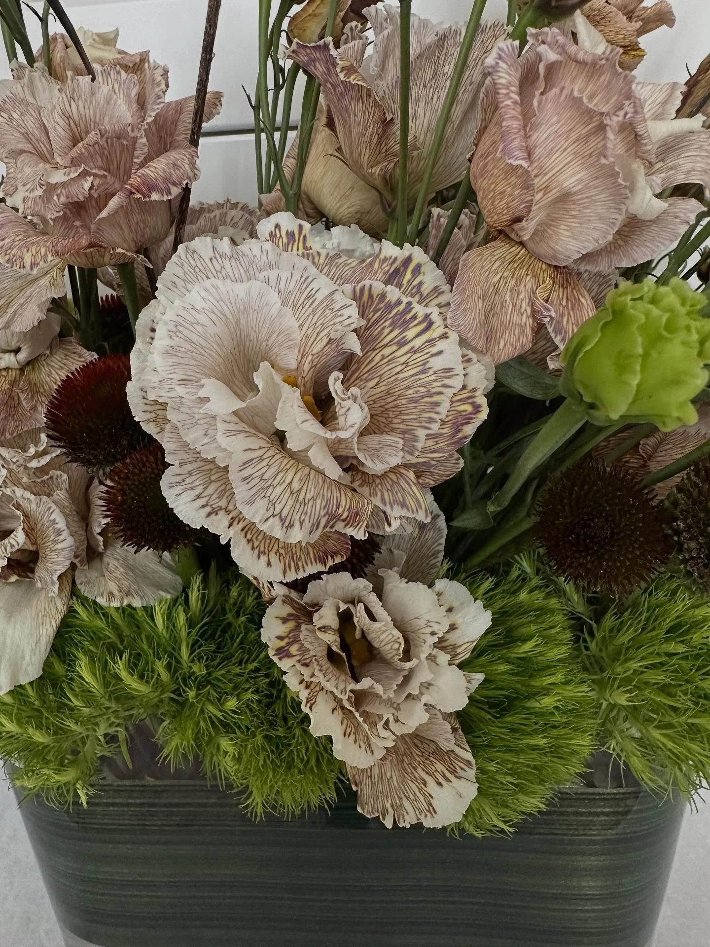 Inspired by life&rsquo;s unexpected turns &mdash; a collection in grounding browns and renewing greens, where every twist finds its balance and beauty blooms in between. 🌿🤎 
-
-
-
-
-
-
-
#OakAndGailFlowerStudio
#flowersofinstagram #flowerstagram #