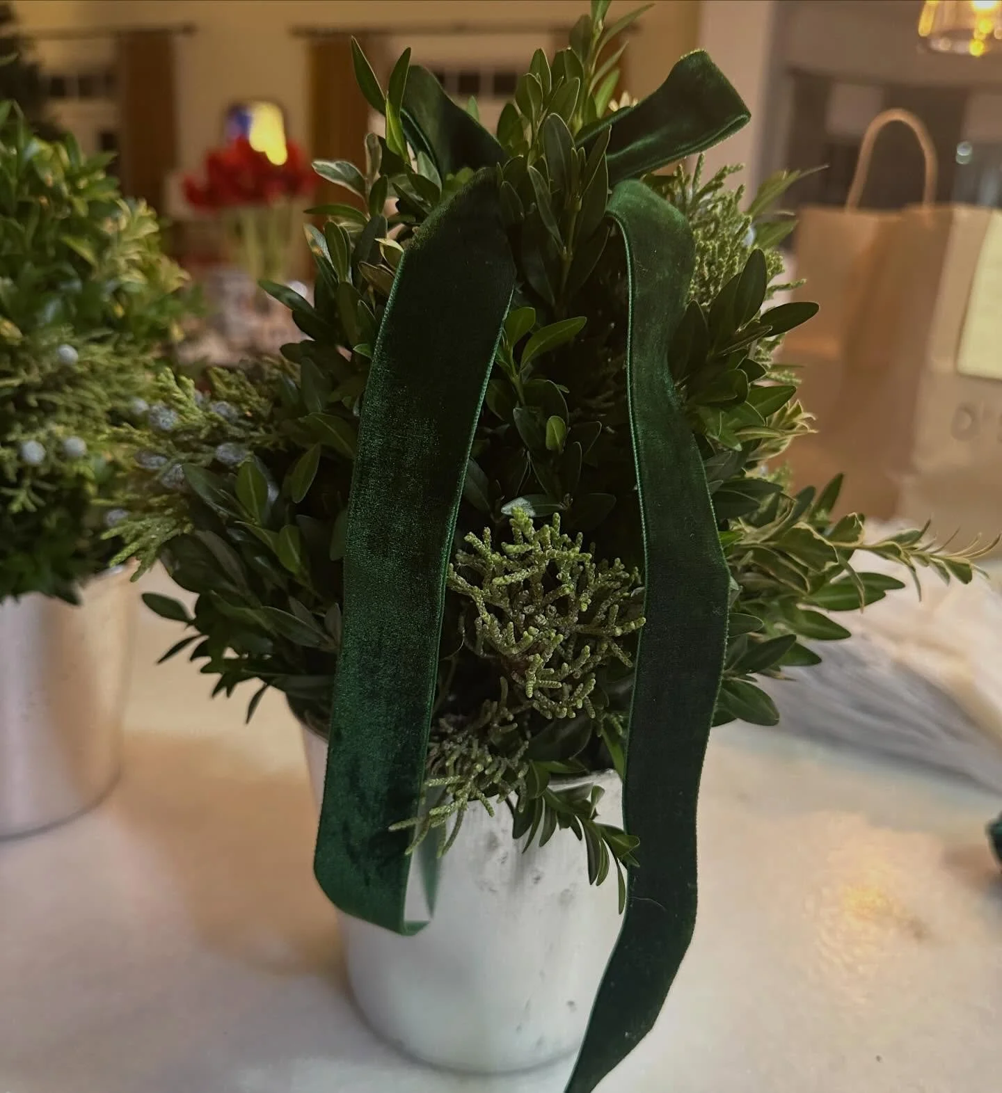 The holiday season is full and fast, especially outdoors&mdash;early mornings, freezing temperatures, and learning as you go while working against the elements. Cold hands, tight timelines, and constant adjustments become part of the process. Alongsi