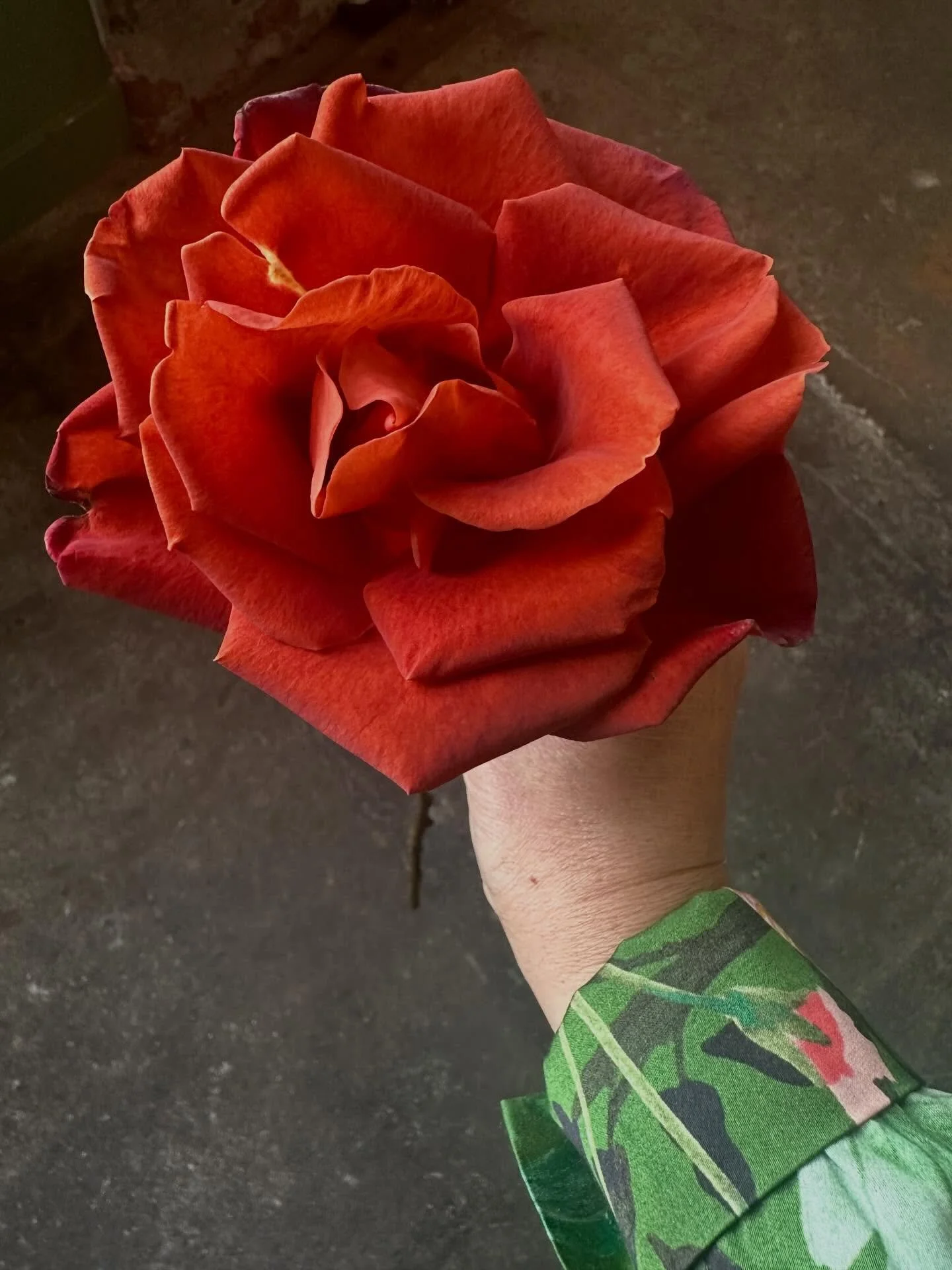 Two days at Method + Mindset at The Floral Reserve, and I&rsquo;m leaving with more than just ideas&mdash;I&rsquo;m leaving with a shift in how I see this work.

Floral design lives in two worlds.There is the beauty&mdash;the color, the movement, the