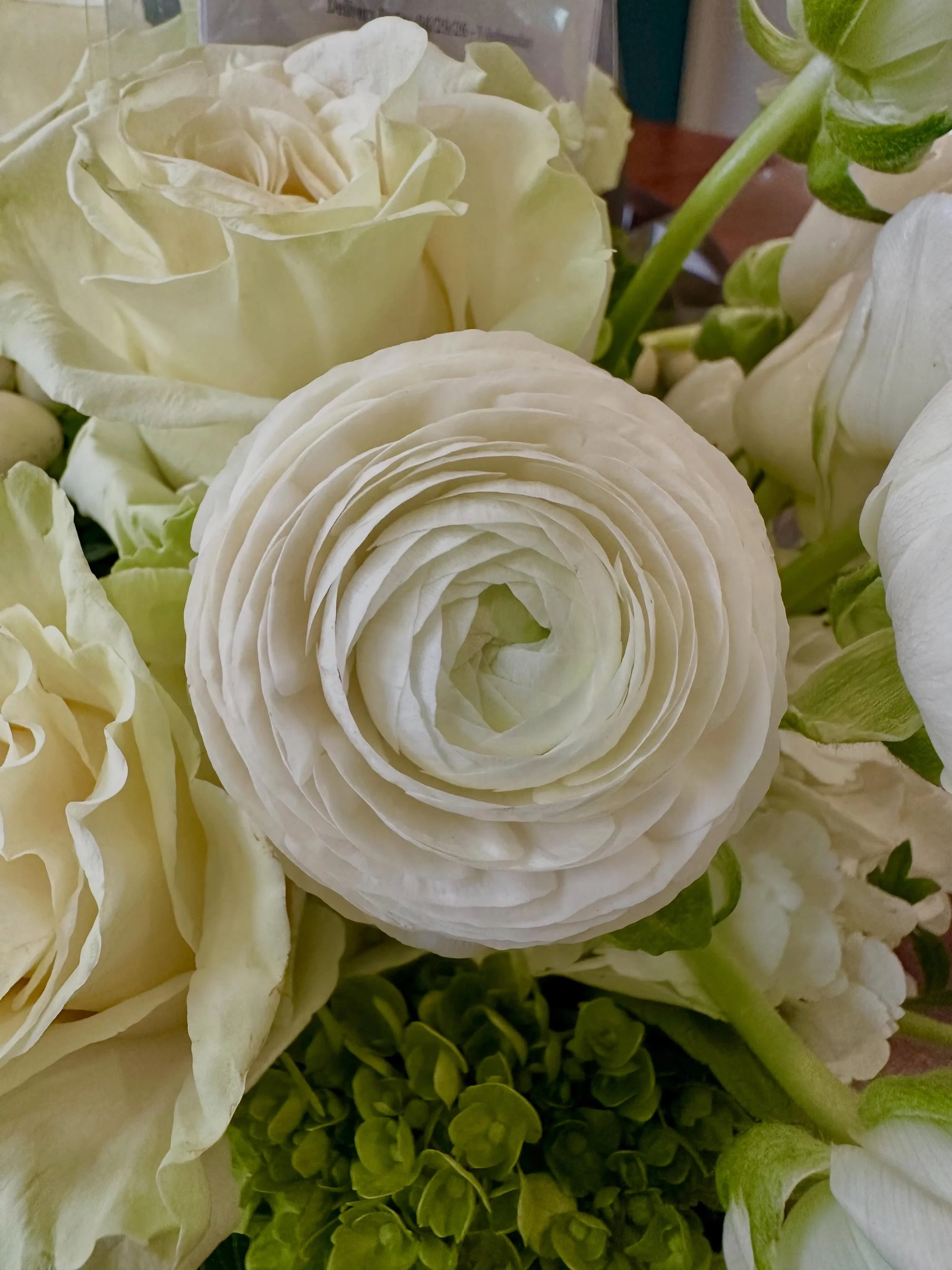 Just like these layers of petals, life doesn&rsquo;t move in straight lines&mdash;it spirals. There are seasons of growth, stillness, and moments that feel like falling apart. Yet we always find our way back&mdash;wiser, softer, stronger.

The highs 