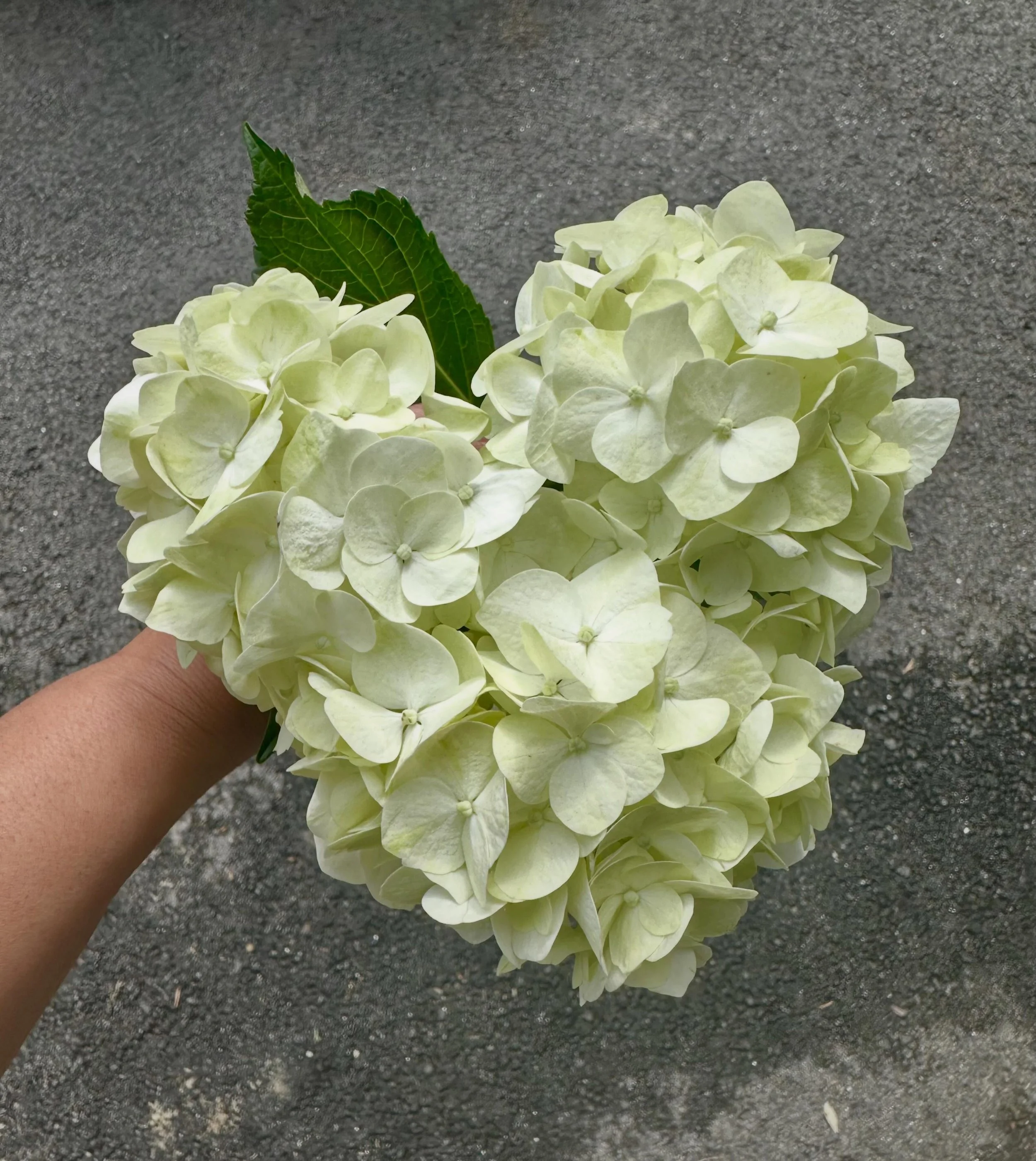 If you do nothing else today, love.
Love your people&mdash;in the small, ordinary ways that end up meaning everything.

And don&rsquo;t miss the quiet gifts&mdash;
the ones God places right in front of you each day.

And trust that you are loved, too