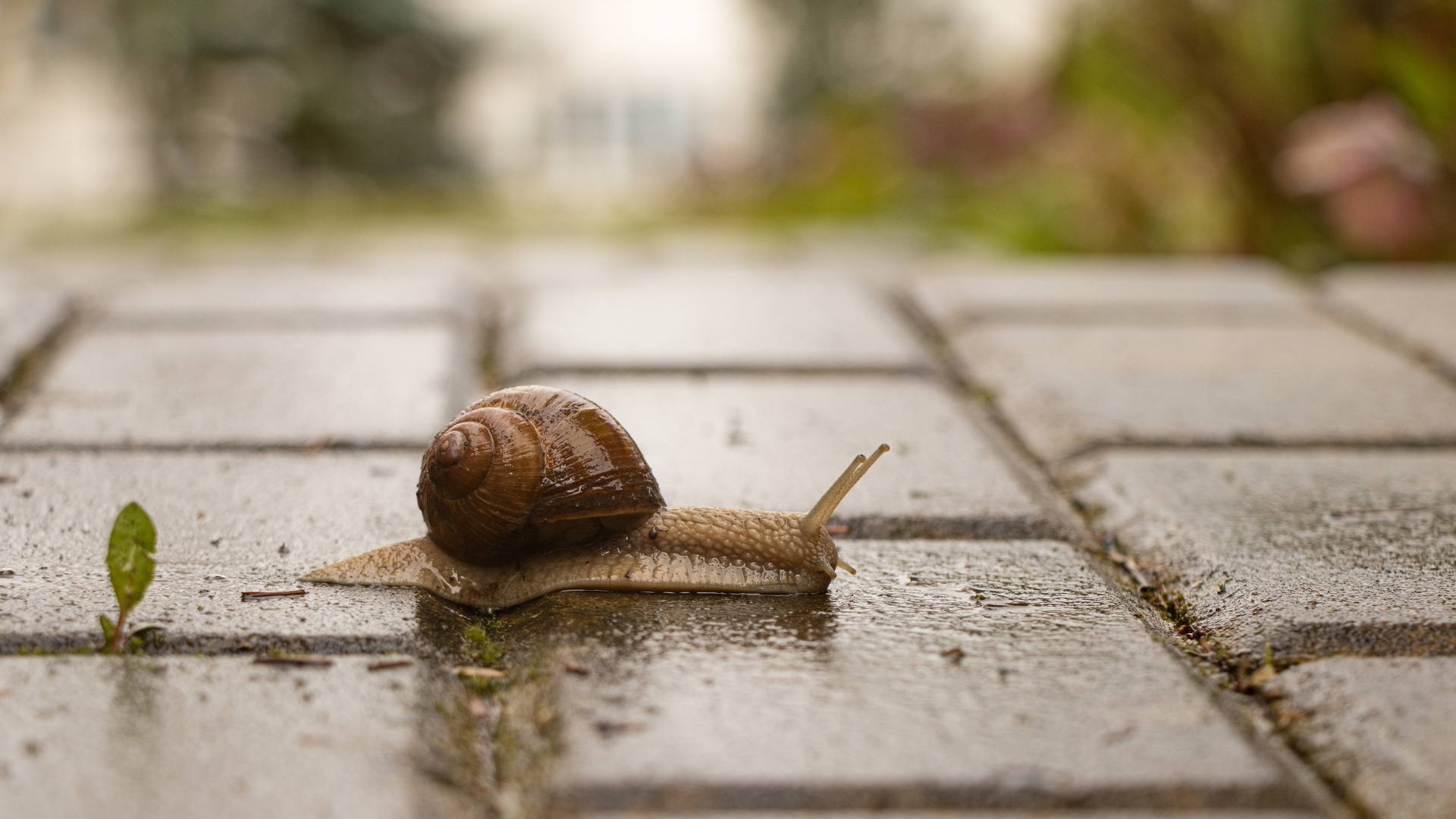 When Stillness Feels Unsafe: Why Rest Can Be the Hardest Practice