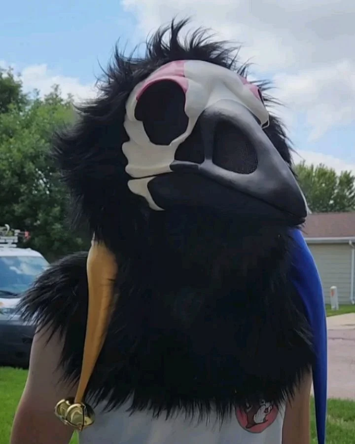 Silly jester bird heading home!! Built on a DVC base painted by the client. The hat is attached by snaps! 

#furry #fursuitmaker #honeydadger