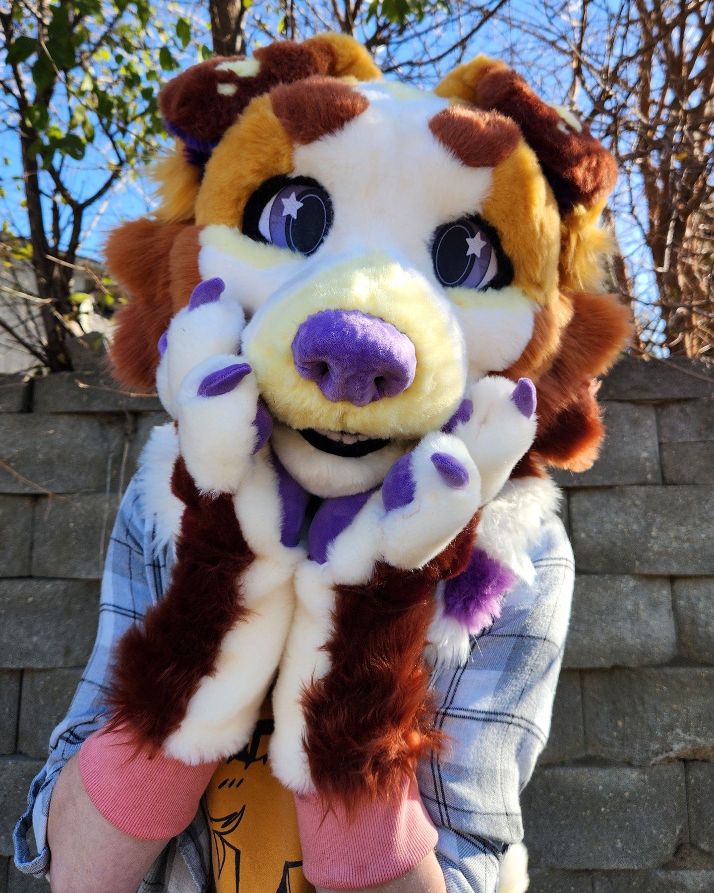 Woof Woof! Photos of Spice, the sweet autumn dog!