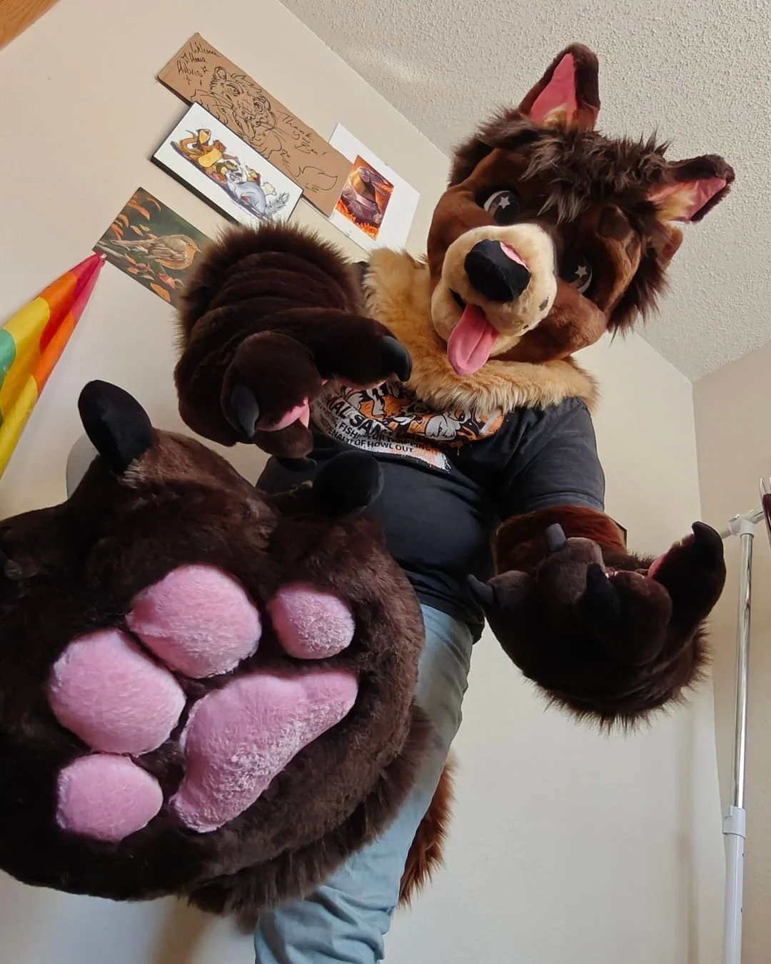 This cute coyote is all finished up and ready to go home!! 
#furry #fursuit #honeydadger