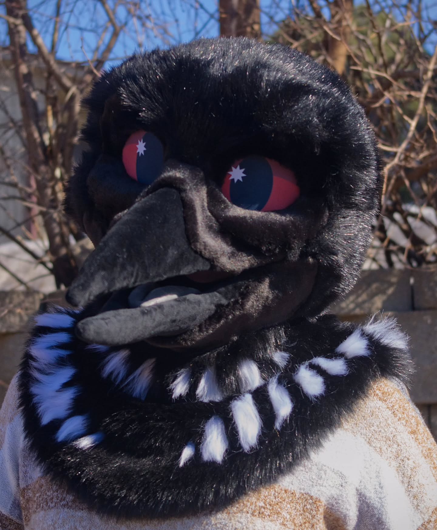 Final 24 hours left to bid on the loon!! This gorgeous gaviidae wants to come home with you :D 

https://www.thedealersden.com/listing/loon-head-for-mn-immigrant-relief/337583