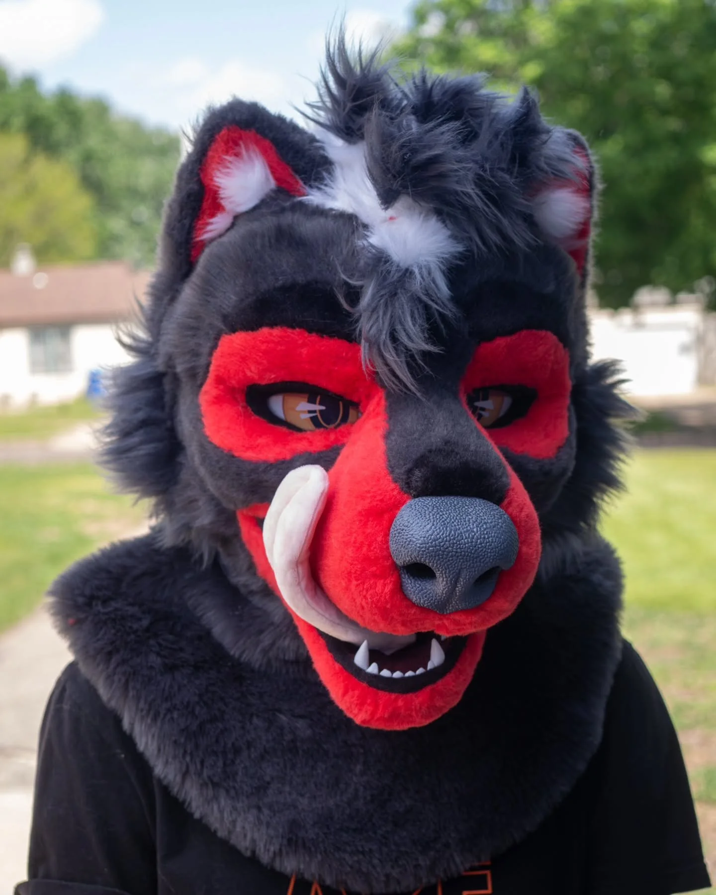 Introducing Lando! 
This handsome wolf is headed home 🐺
#furry #fursuit #fursuitmaker #honeydadger