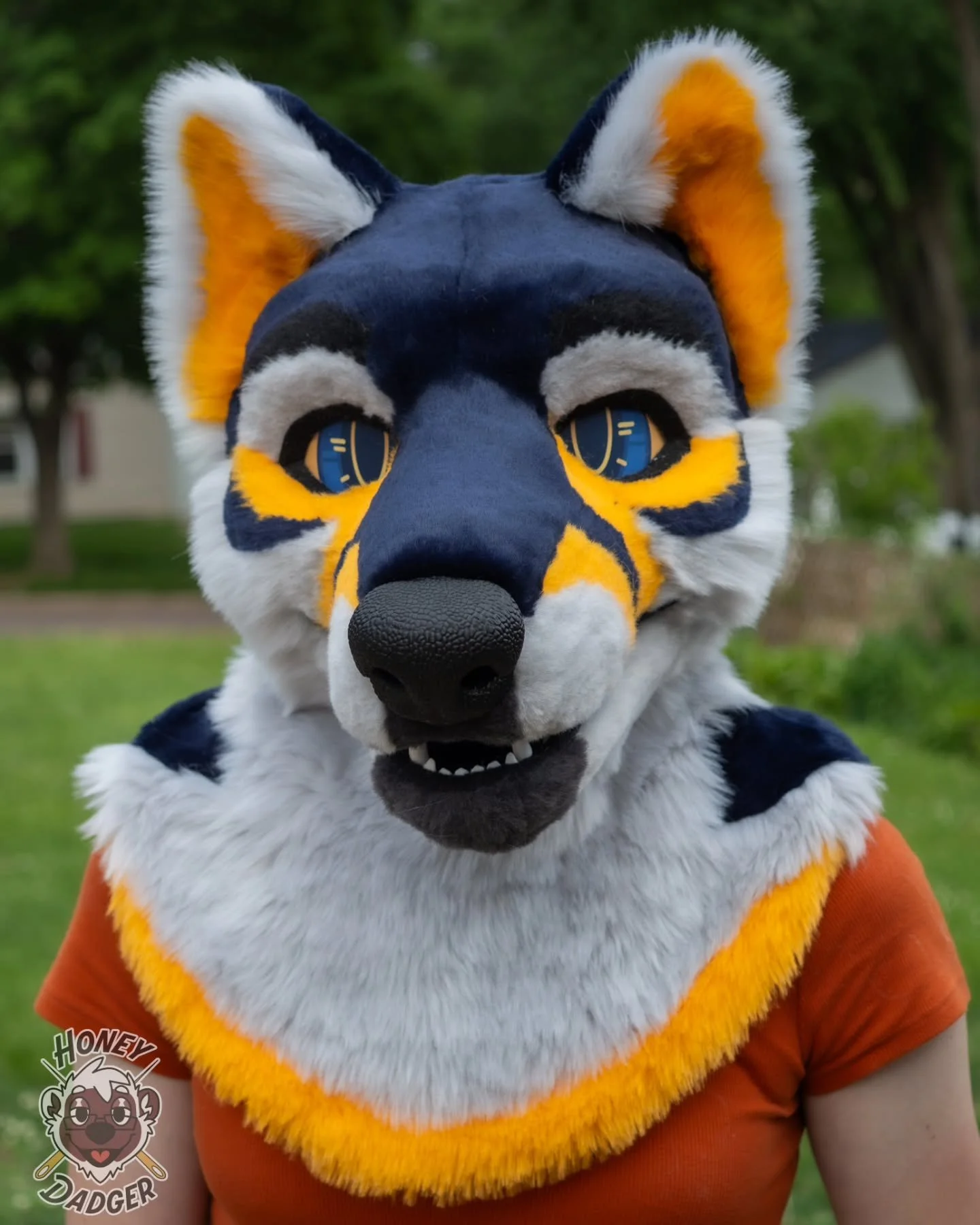 This handsome canine wants to come home with you! TPU base with full mesh eyes and PETG nose. Fully lined with a zipper neck pocket. 

$2500 head only, paws and tail can be added on! Feel free to message me for more details
#fursuitmaker #fursuitfrid