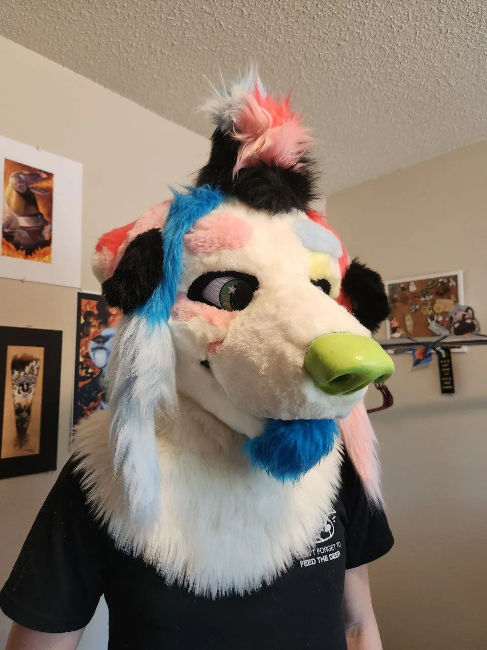 Fetti Dalmatian - 2025