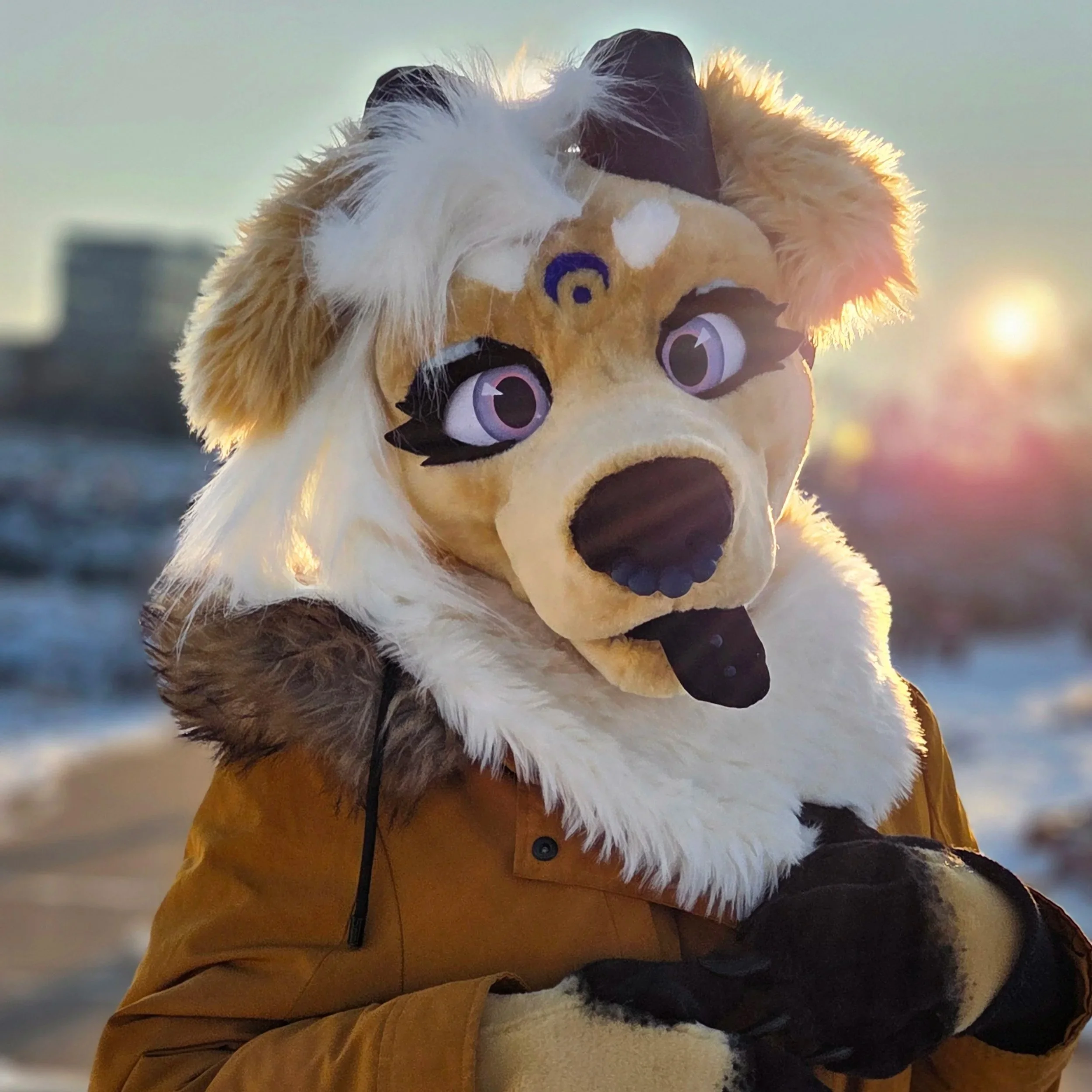 Rolei Retriever - 2025