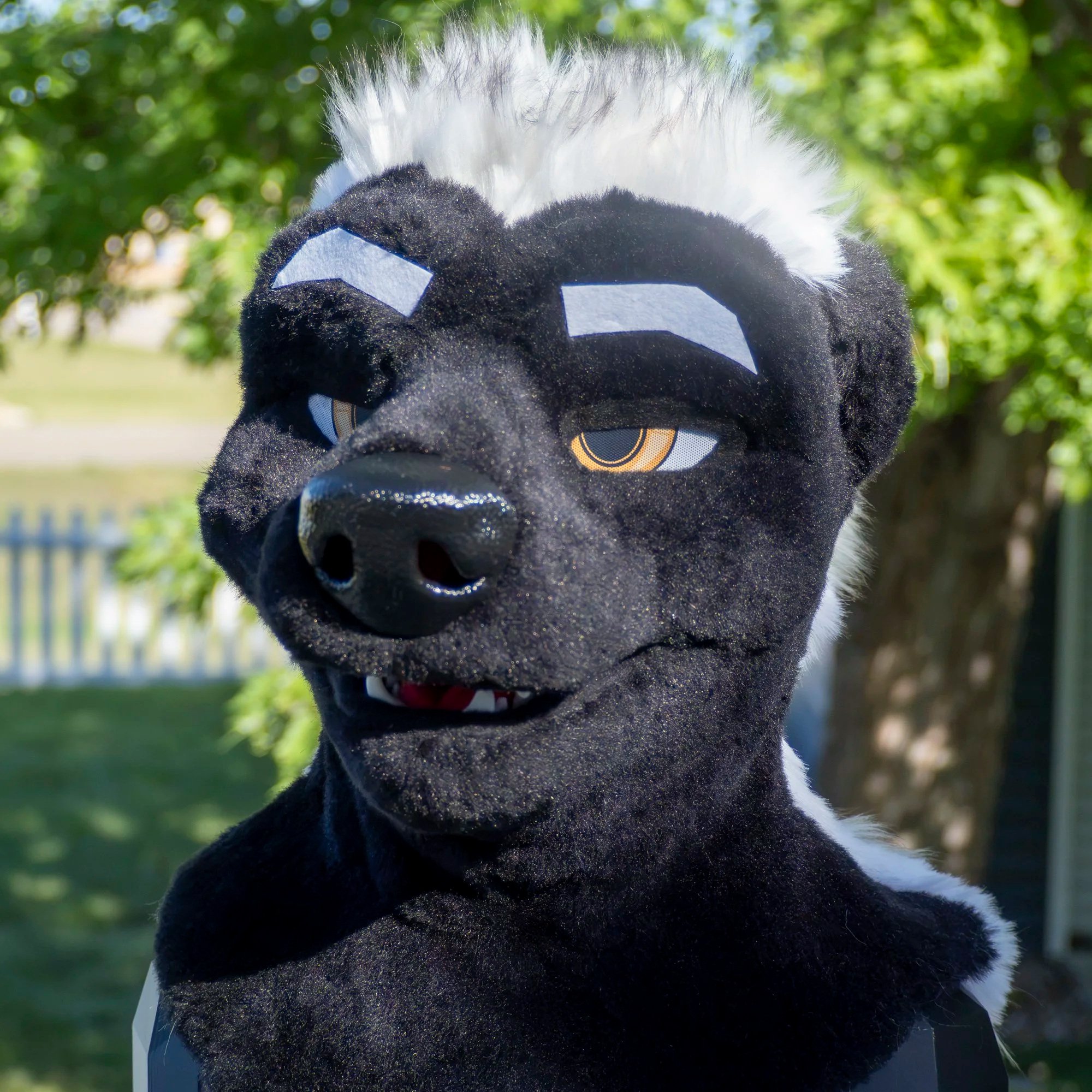 Honey Badger - 2026
