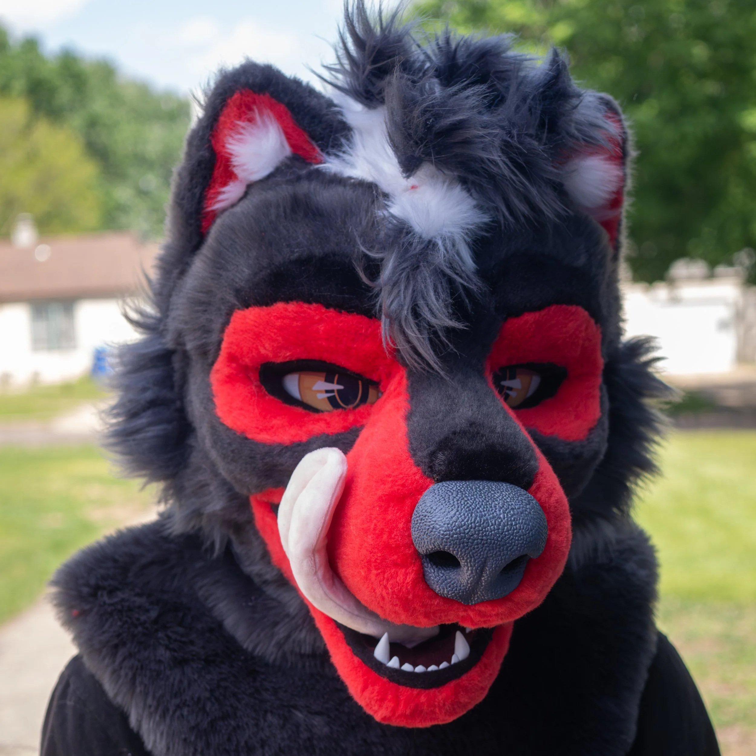 Lando Wolf - 2026