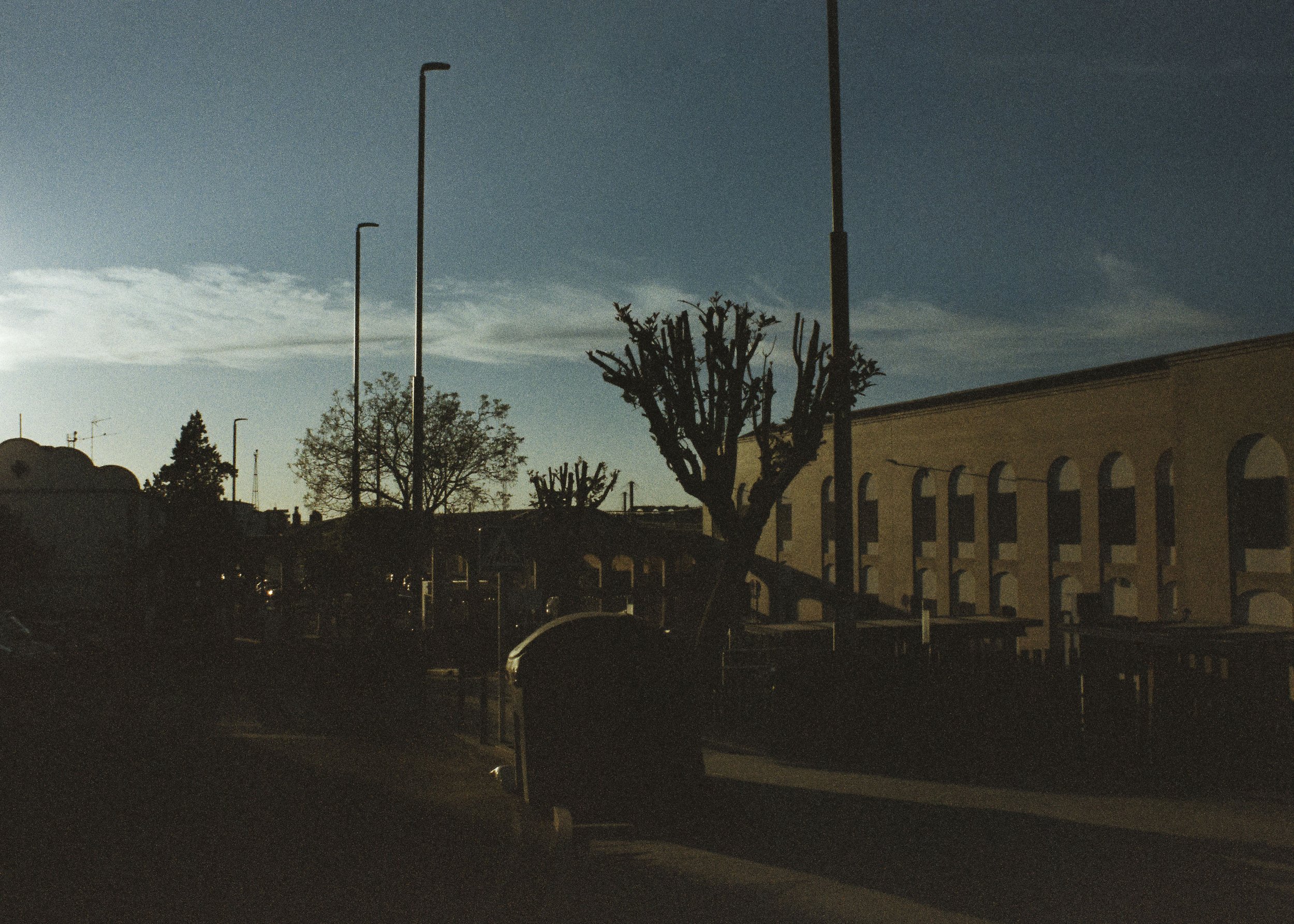 5646-14.jpg
