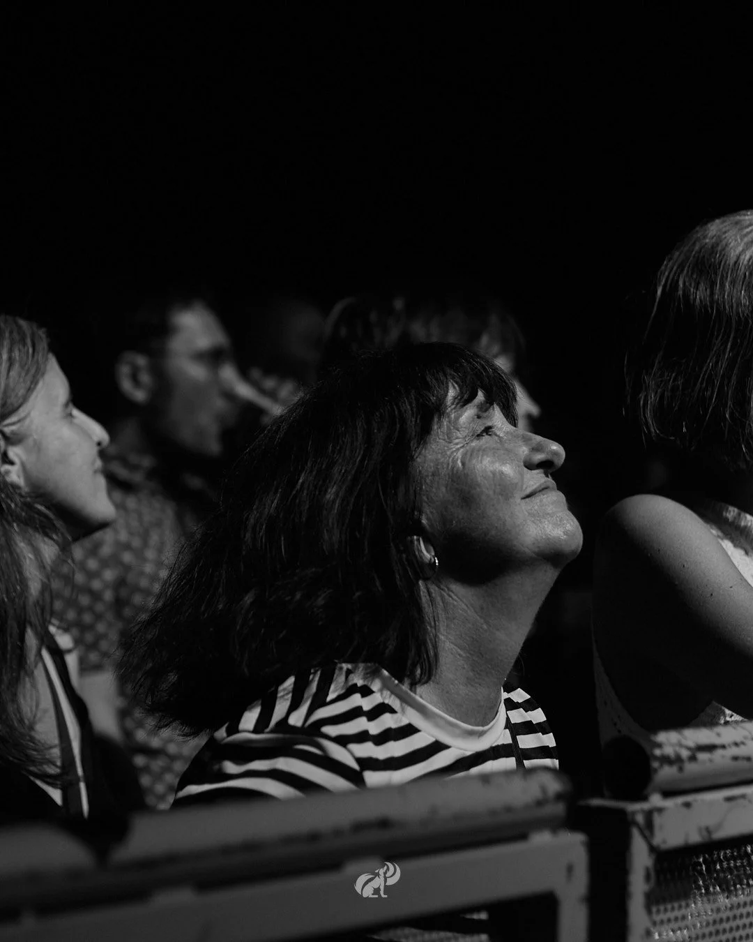 publico 5.jpg