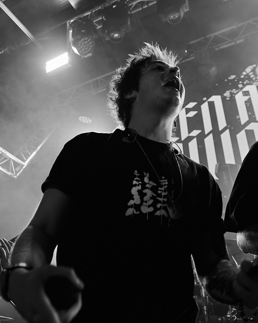 Fallen at Down 2.jpg