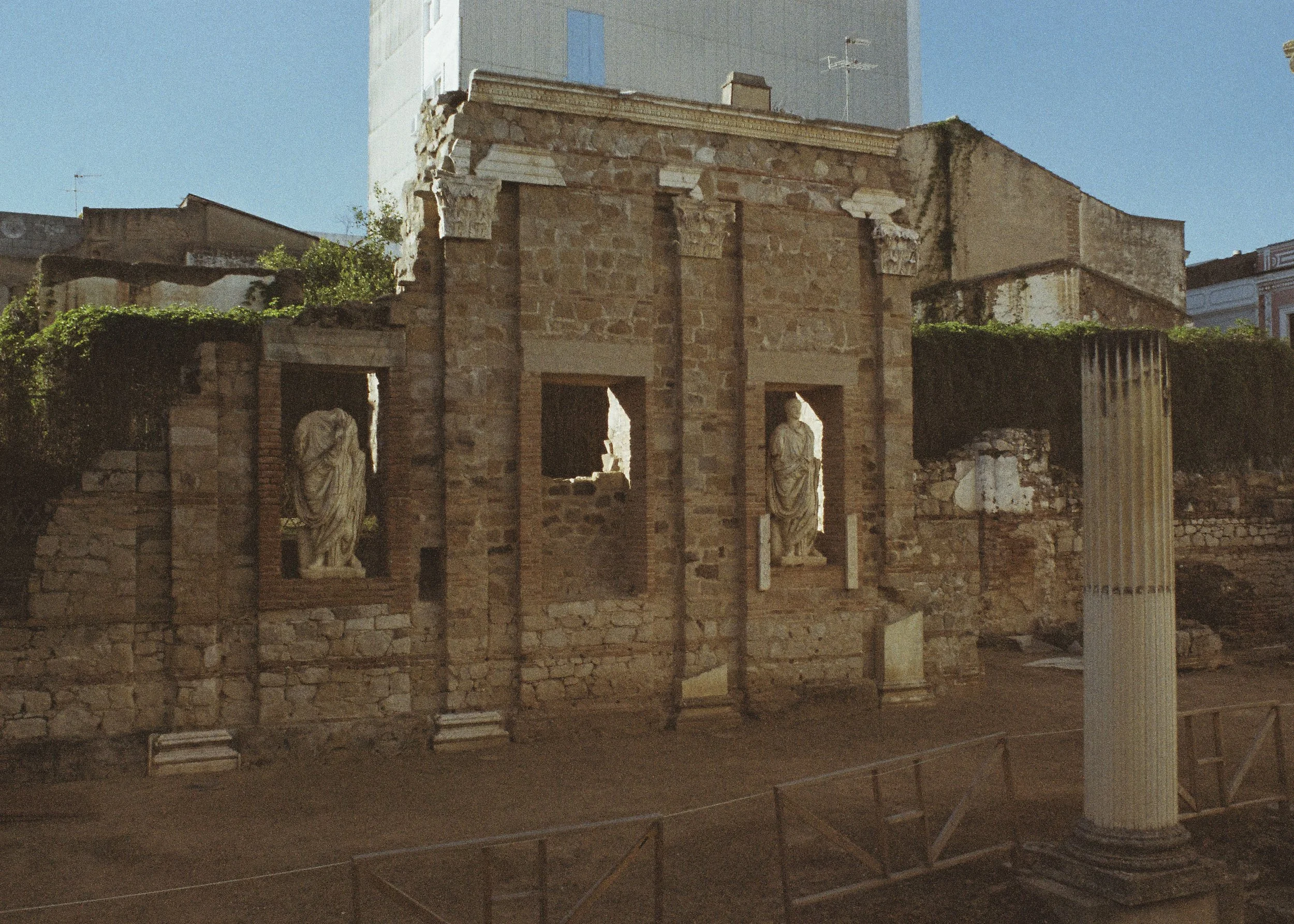 5646-5.jpg