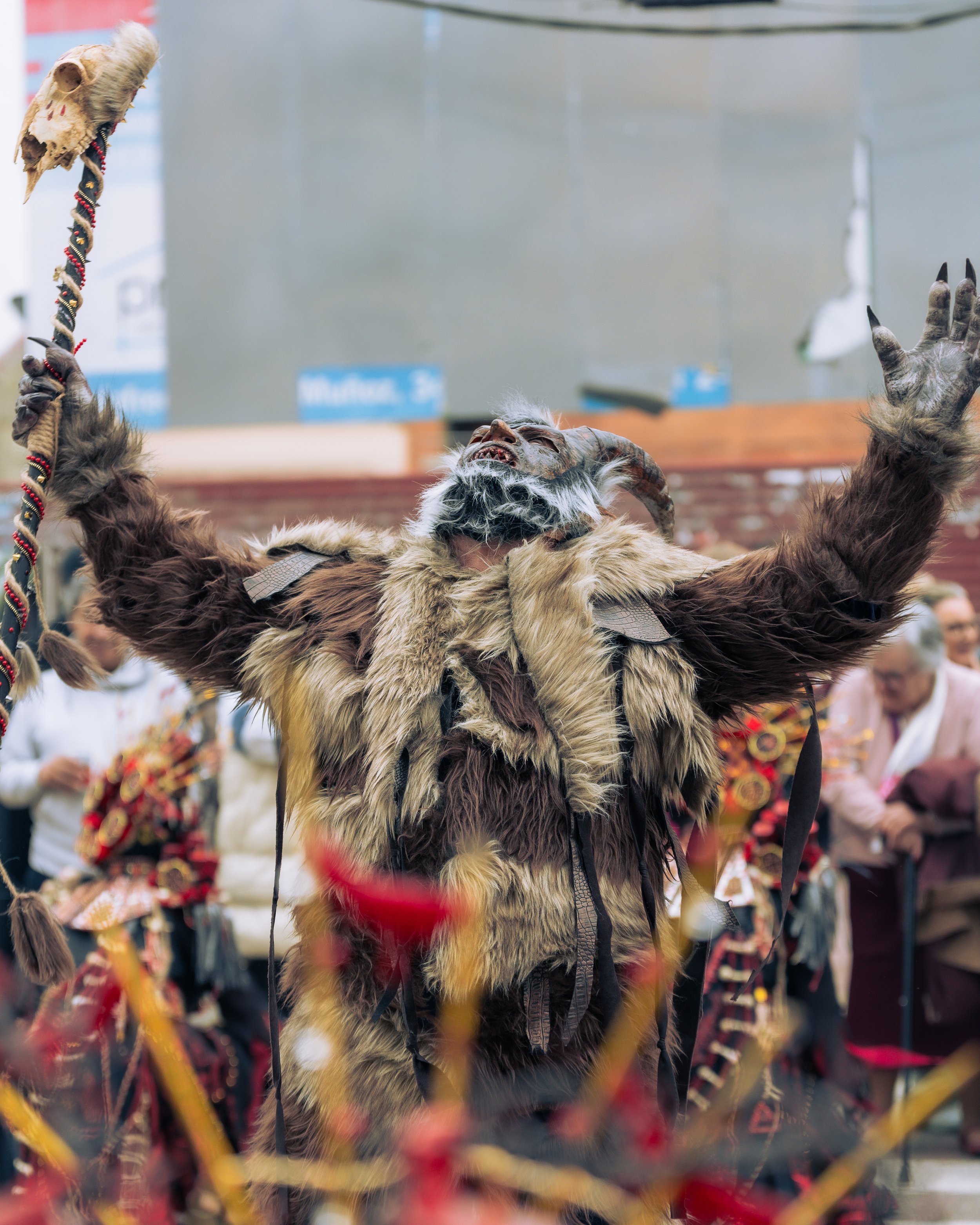 2026_Desfile Entierro de la Sardina_@monrovisuals (54).jpg