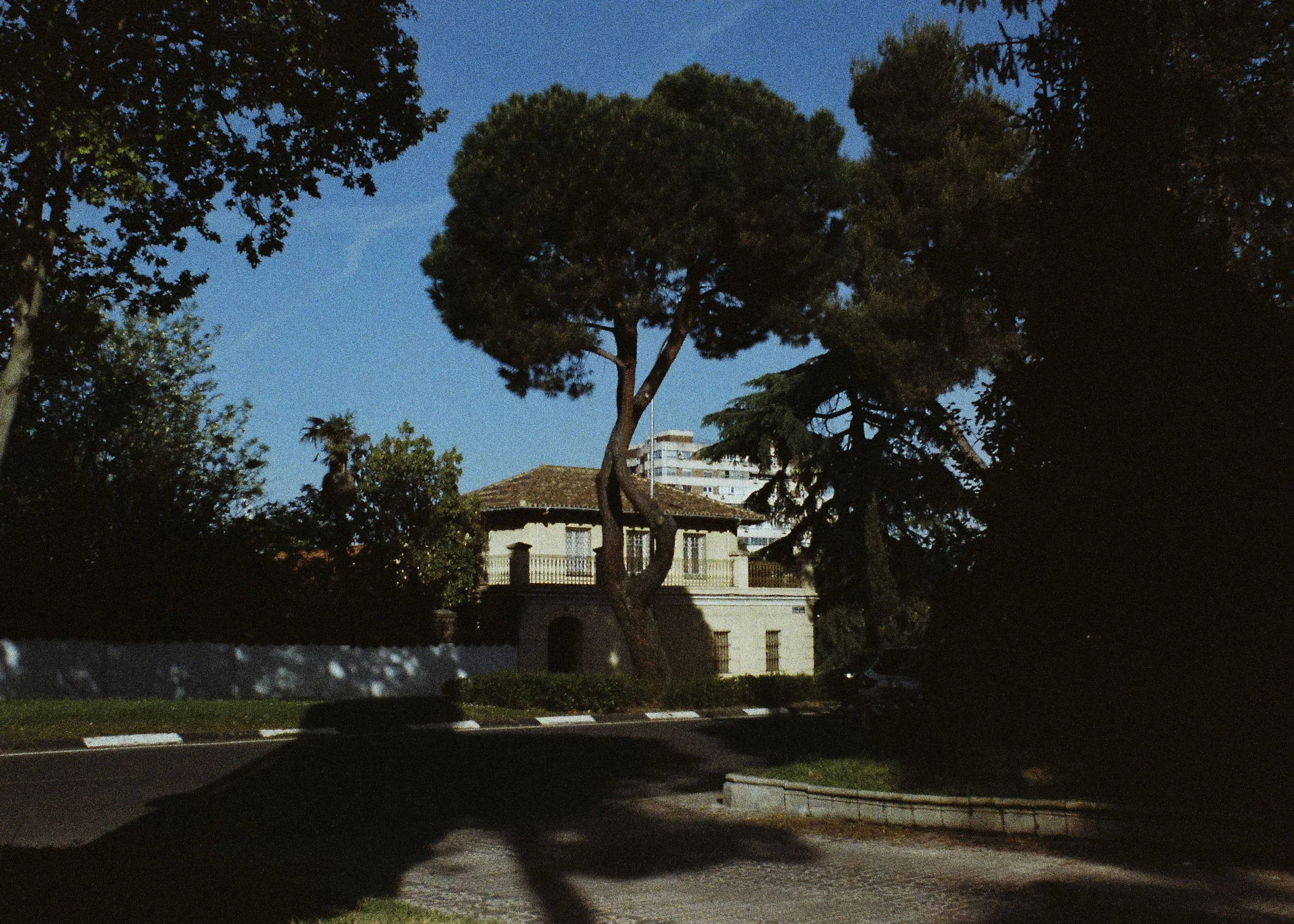 5646-30.jpg