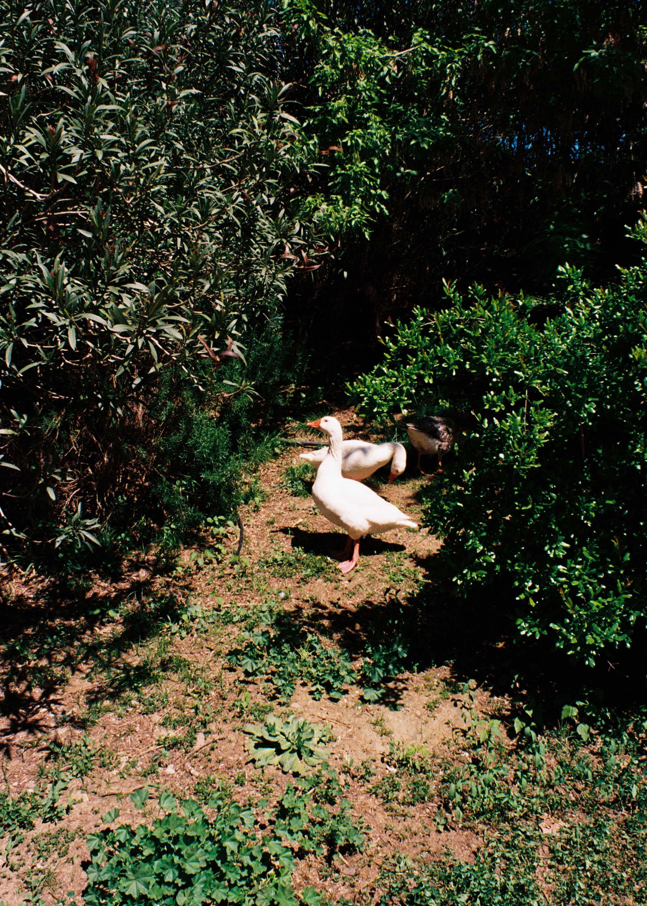 R1-03734-018A.jpg