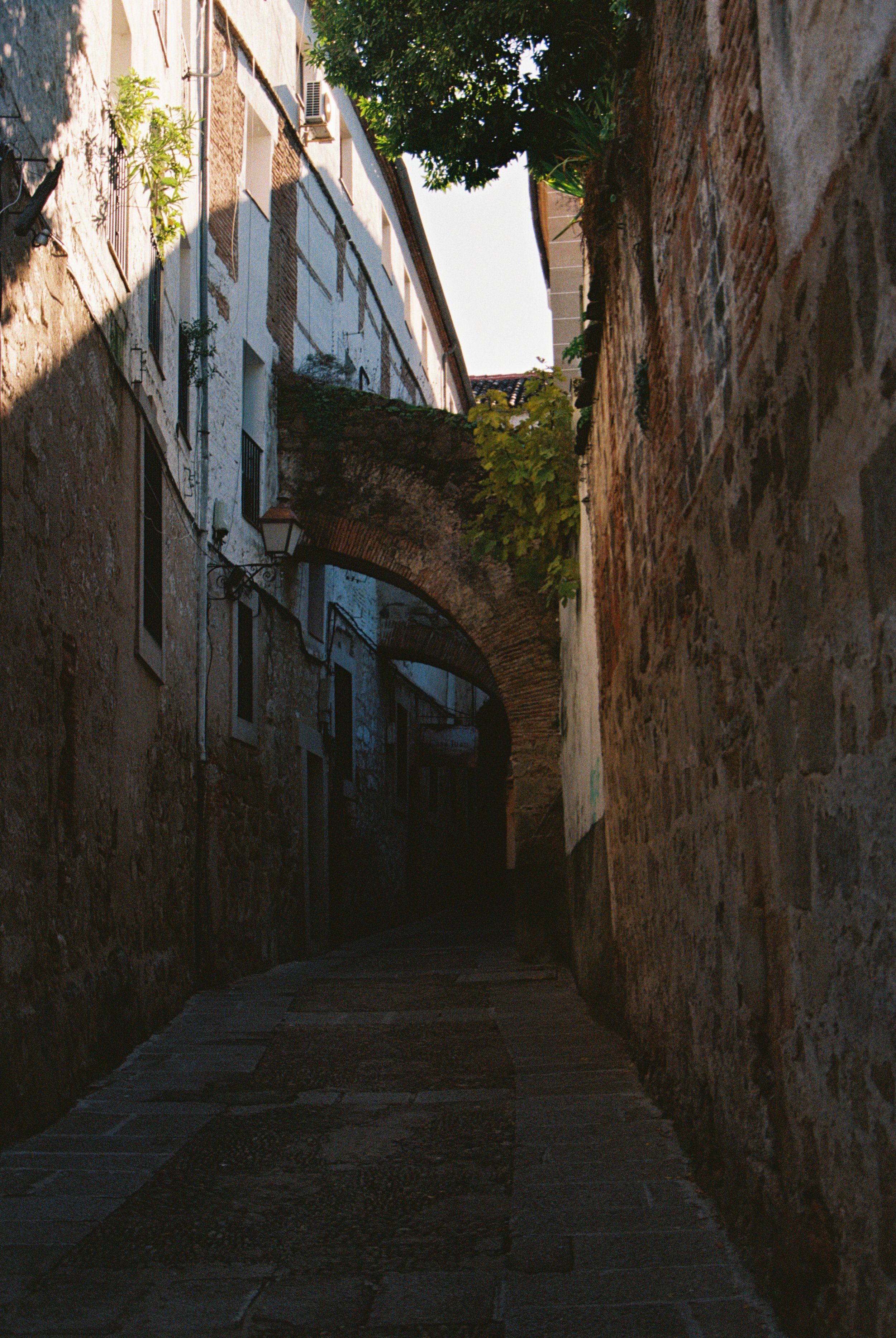 1225_Ultramax 400_Cáceres Madrid Plasencia-18.jpg