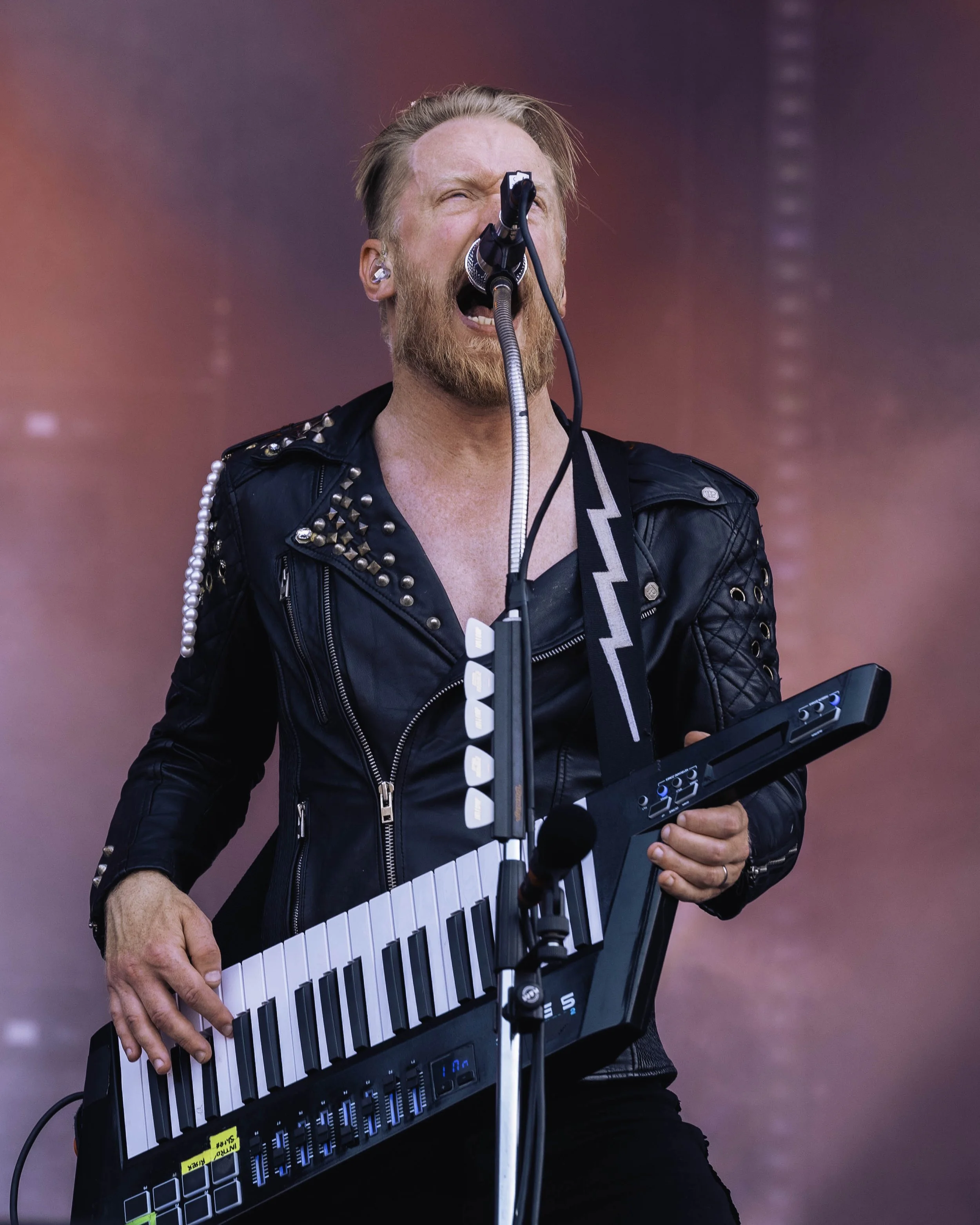 Palace Royal_Hellfest25_20062025_@monrovisuals.jpg