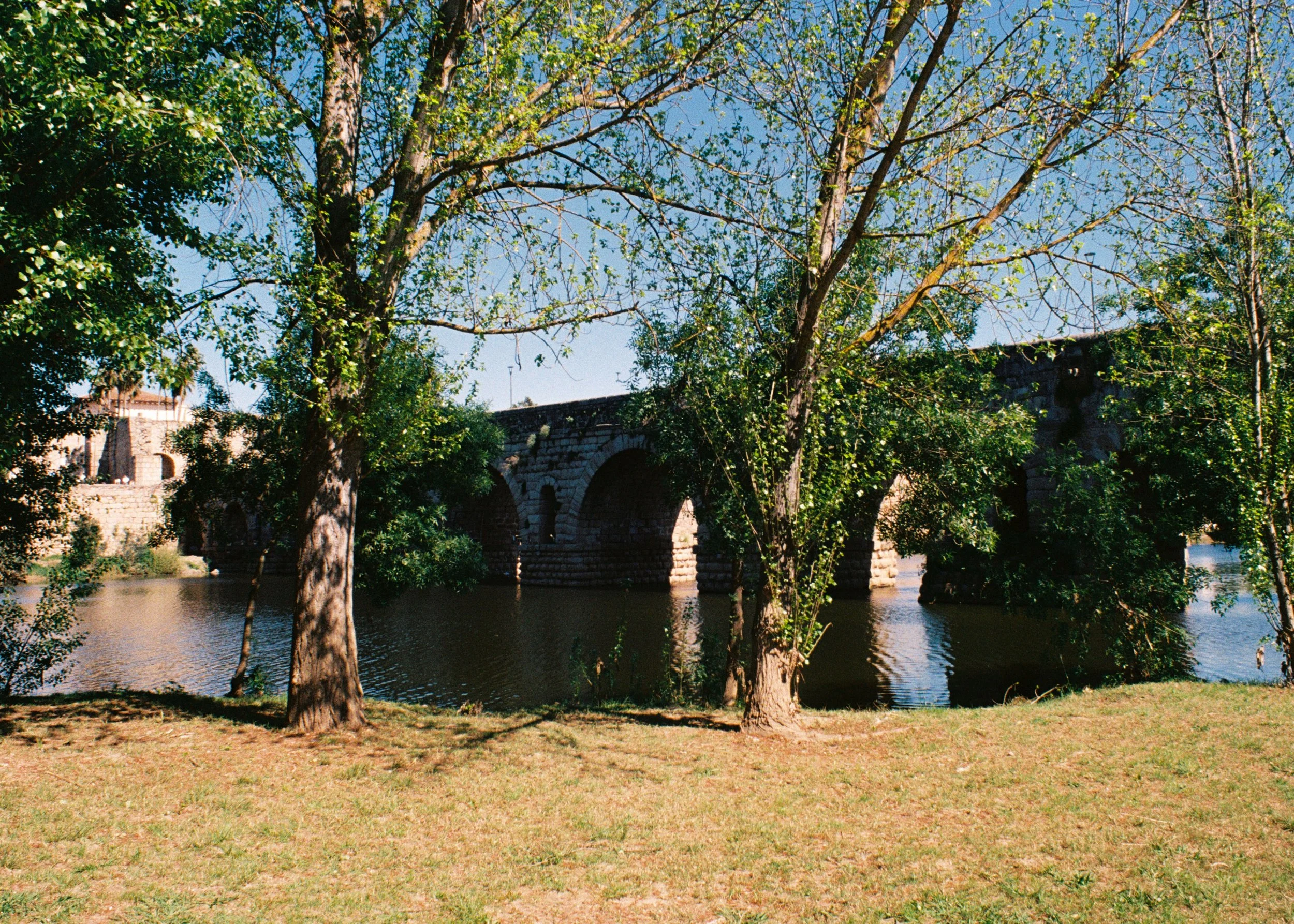R1-03734-021A.jpg