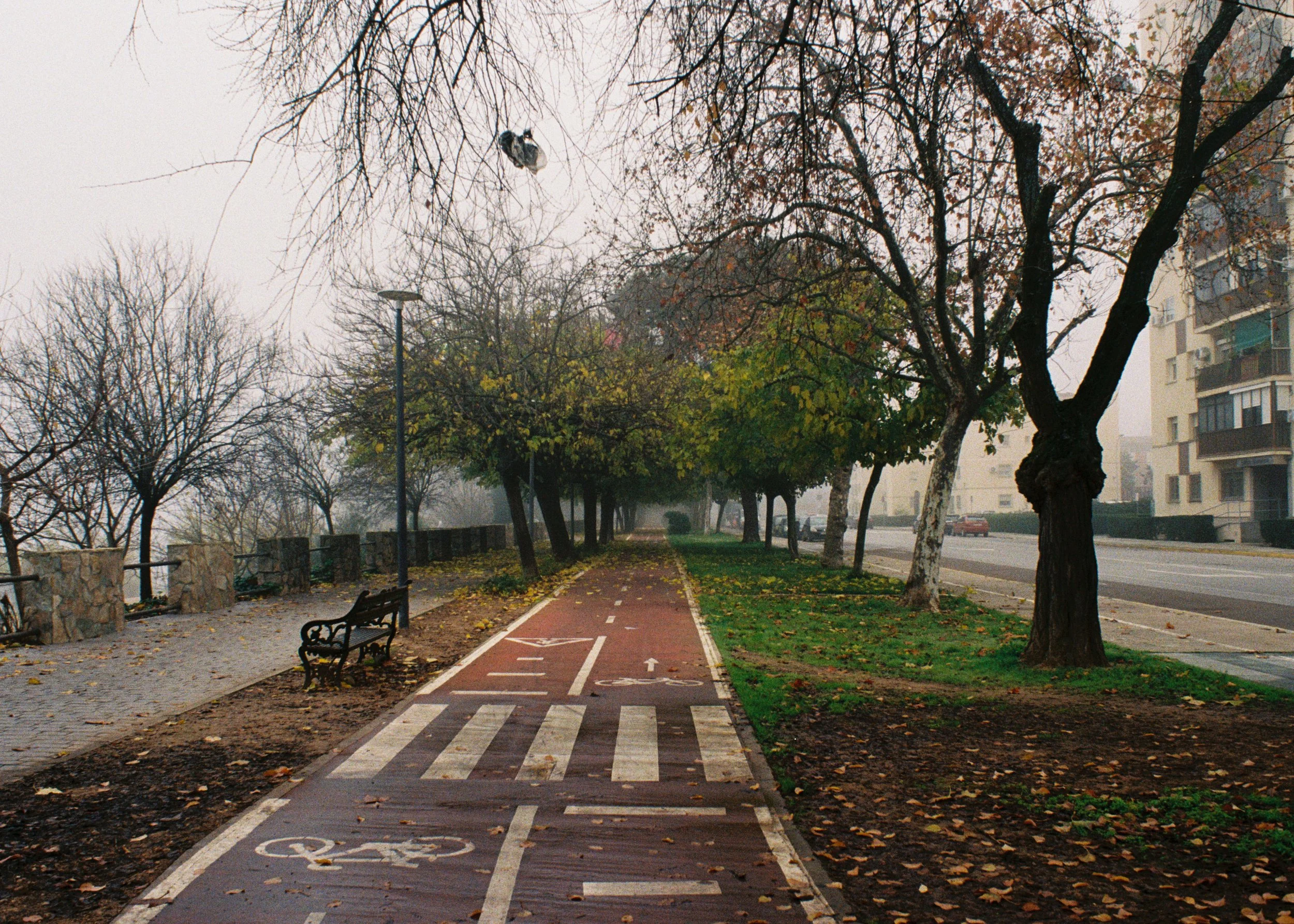 Diciembre 2025 (18).jpg