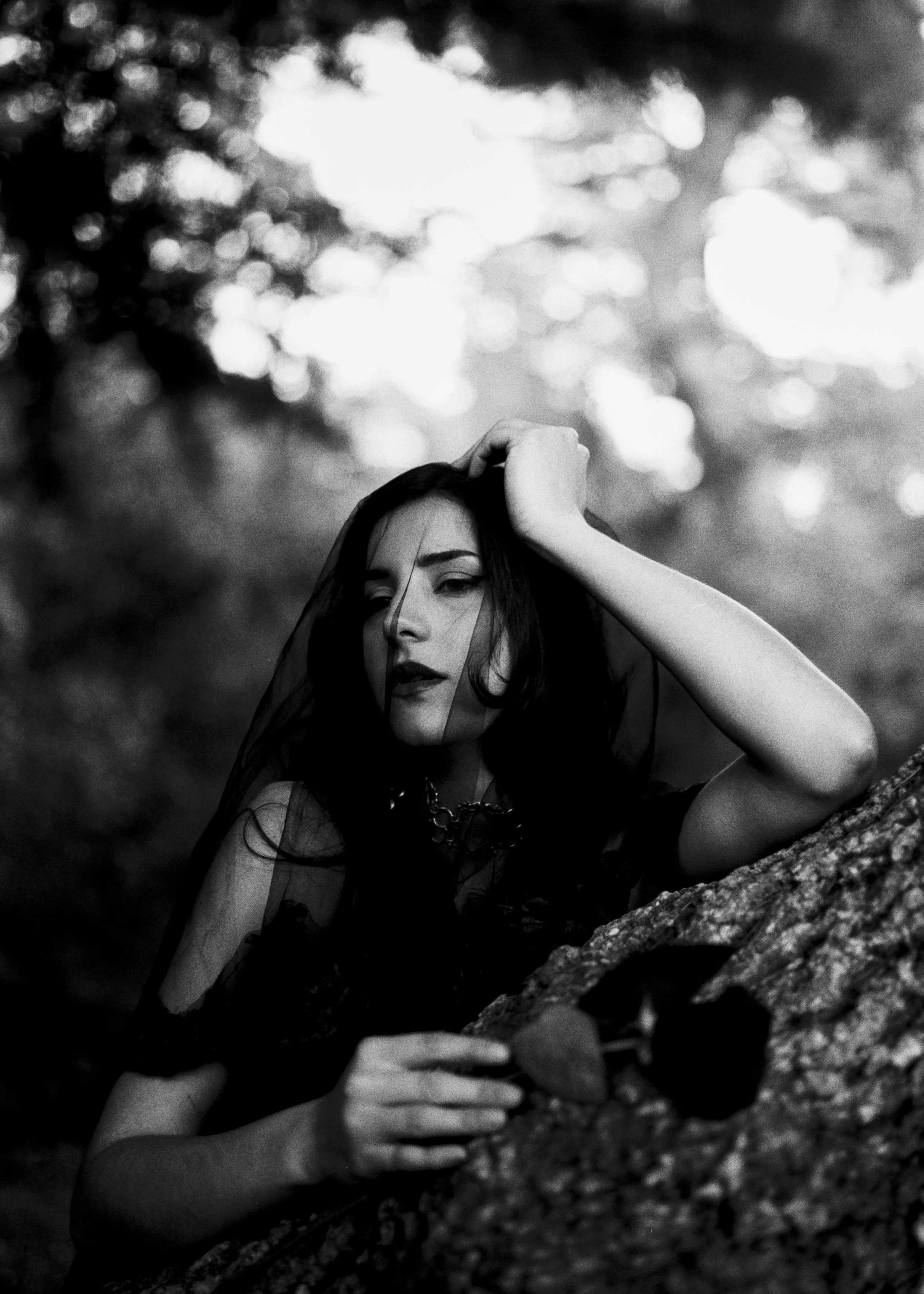 Book y sesiones
