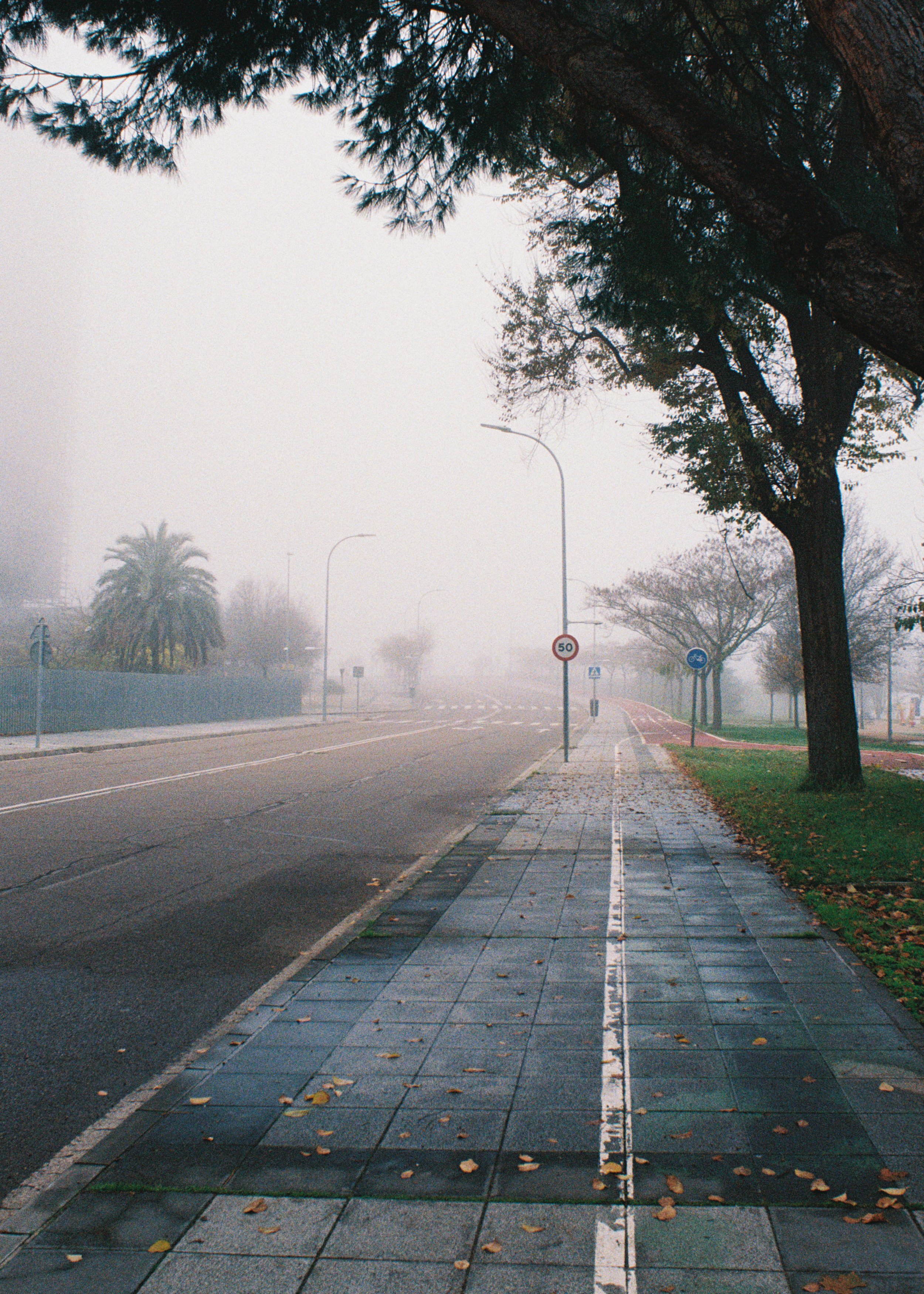 Diciembre 2025 (7).jpg