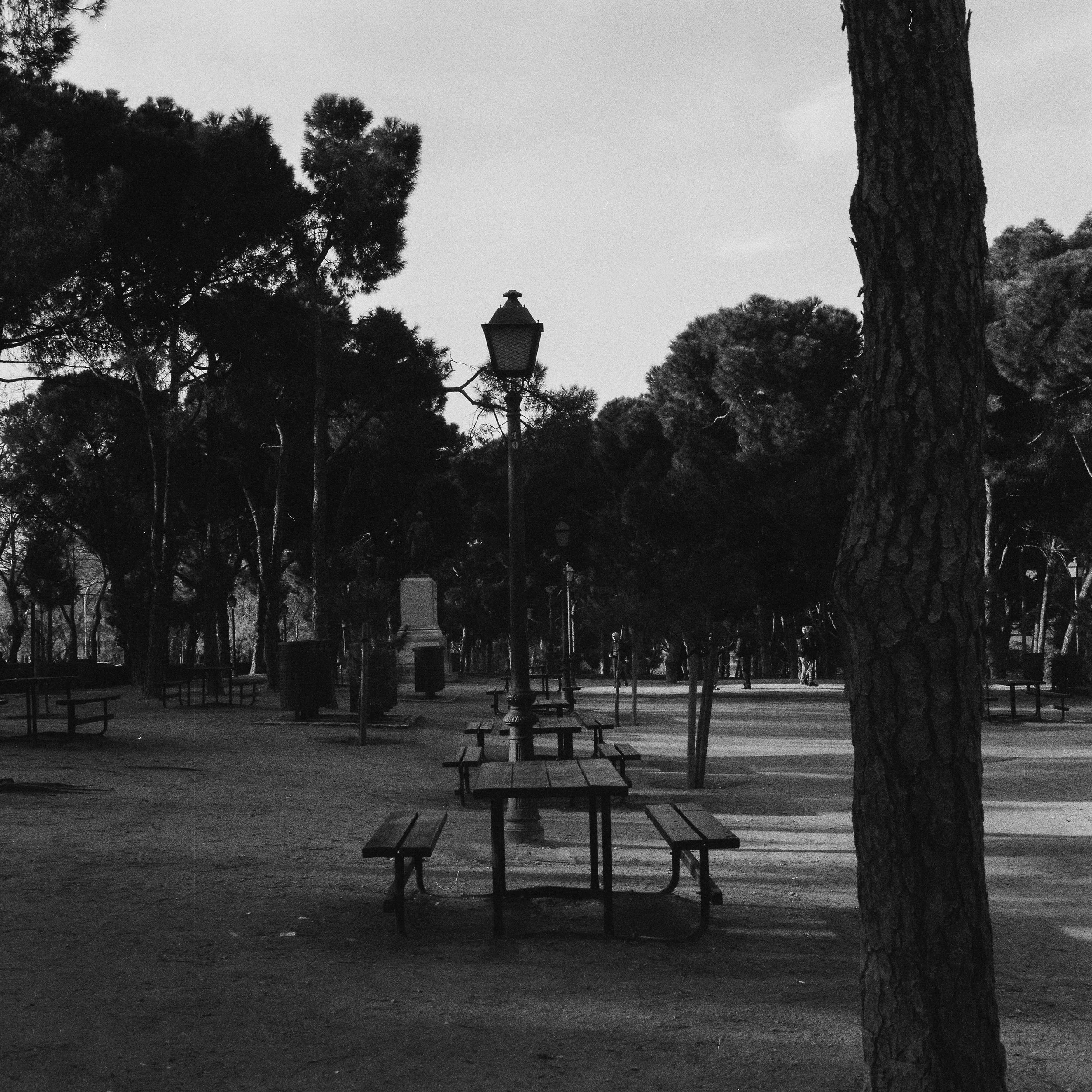 1215_Delta 3200_Madrid-10.jpg