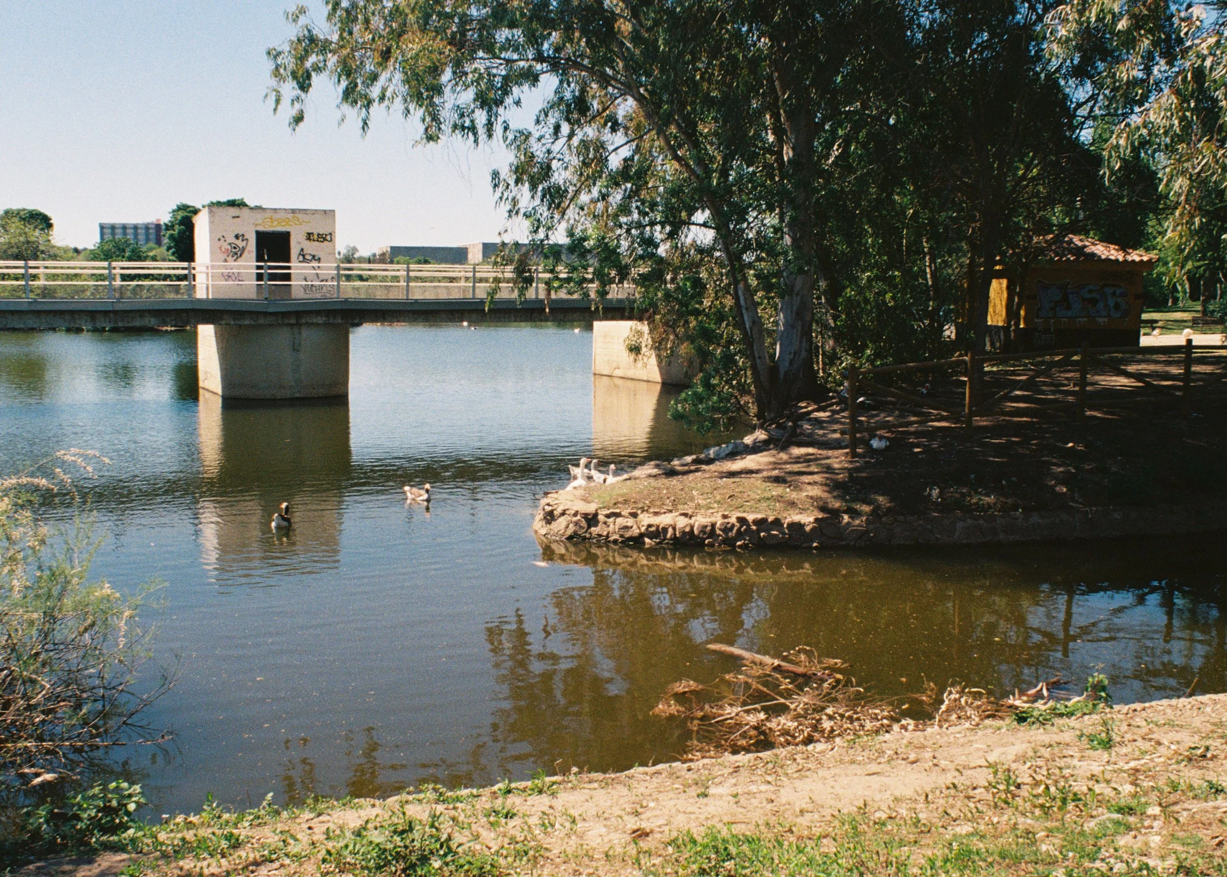 R1-03734-017A.jpg