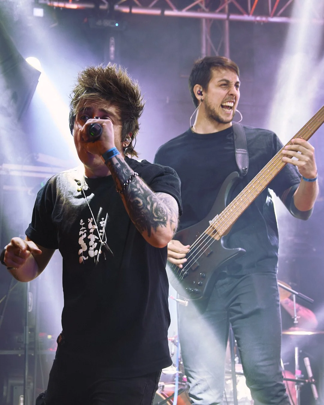 Fallen at Down 1.jpg