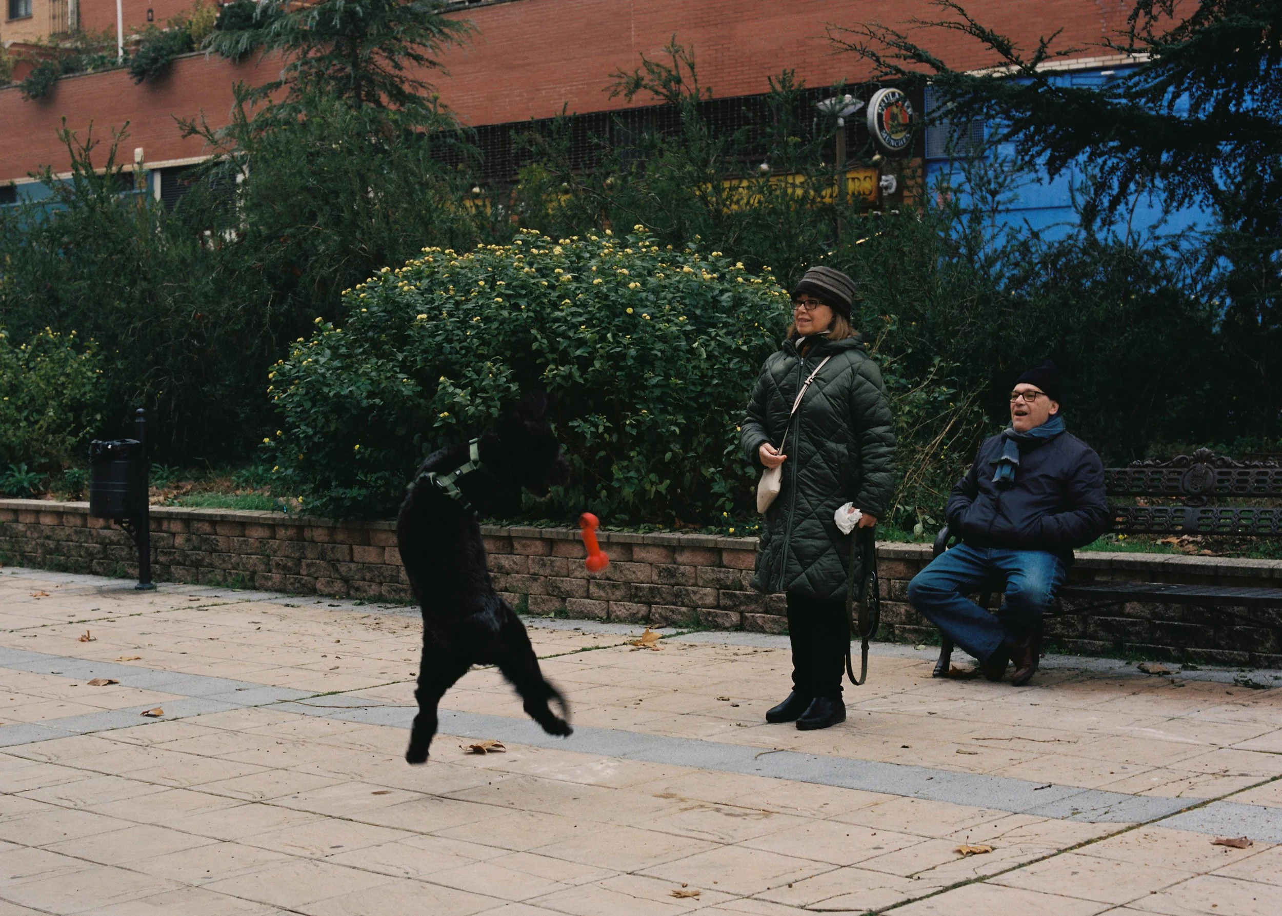 Noviembre 2025 (8).jpg