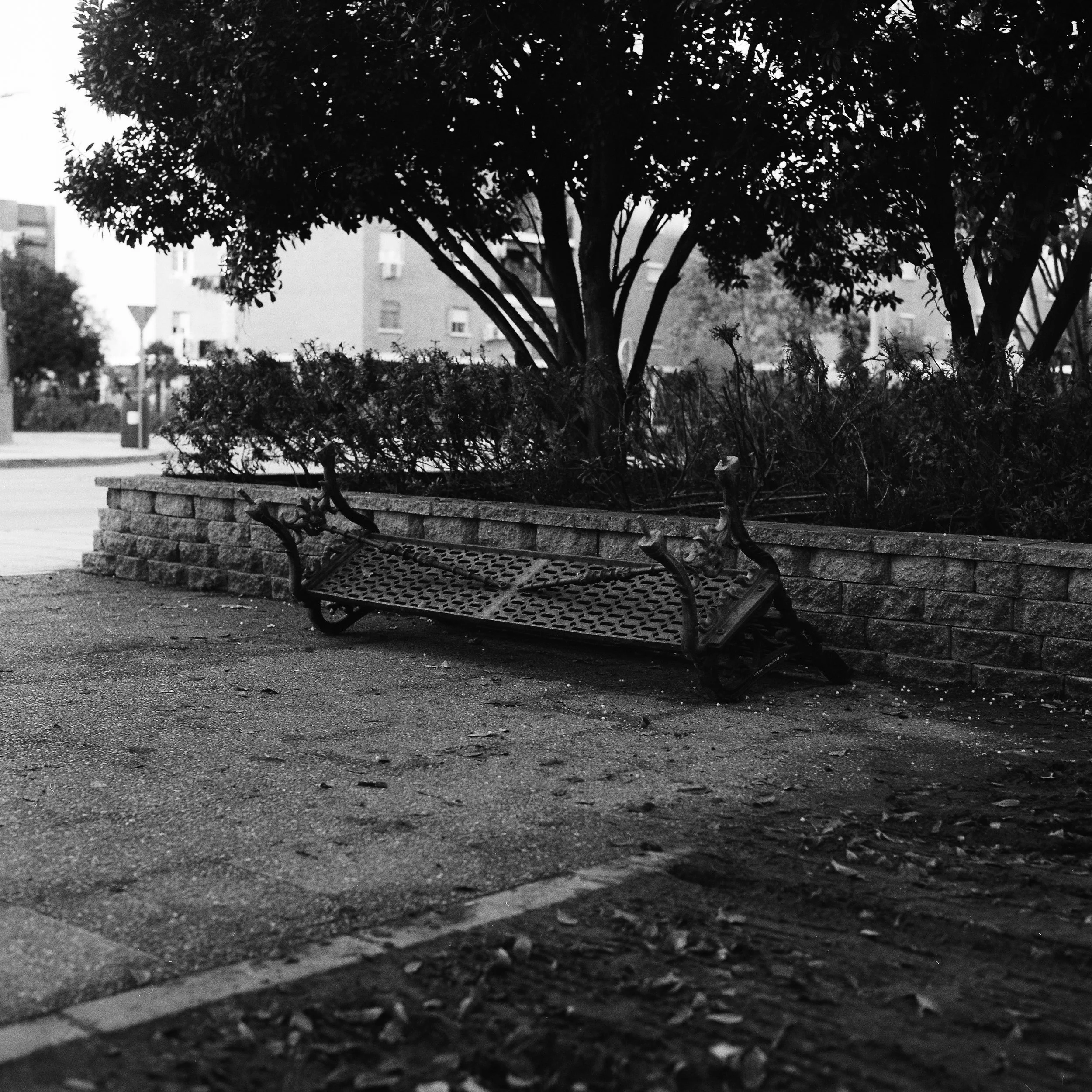 2612_Badajoz_Delta 400_Bronica SQ-A (6).jpg