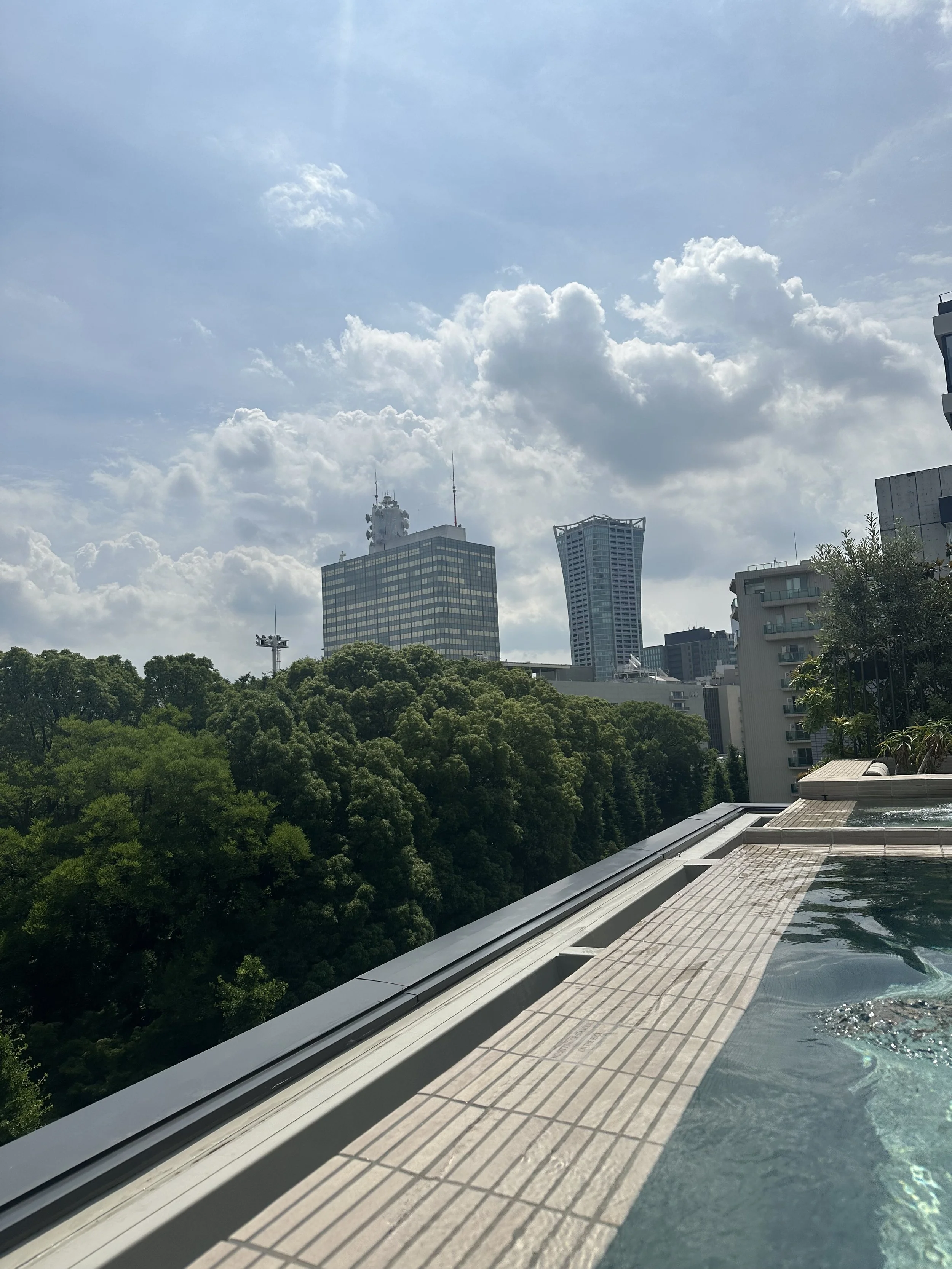Trunk Hotel Yoyogi Pool View.jpeg