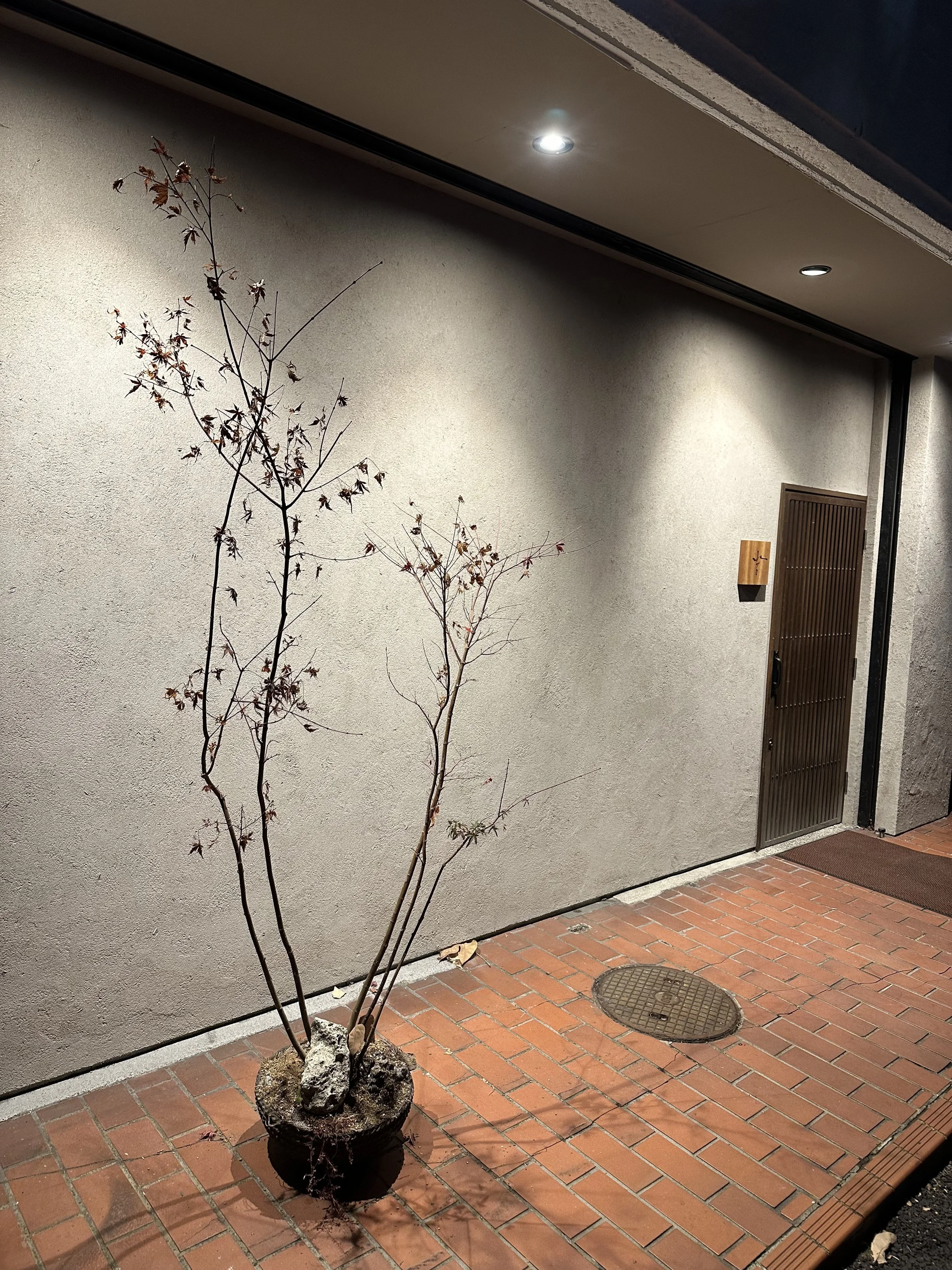 Mizuki Yakitori Front Door Entrance.jpeg