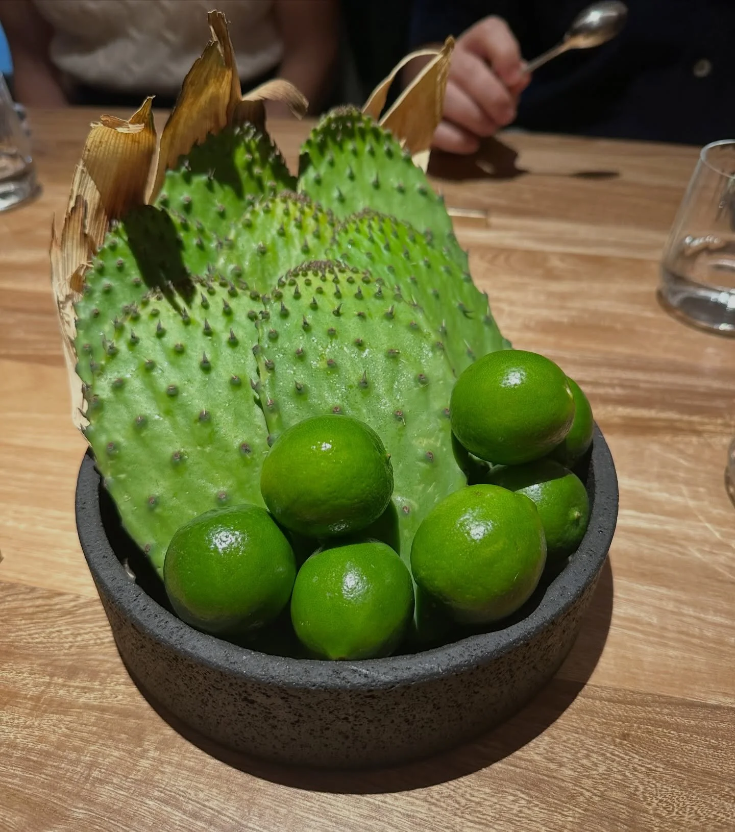 Last month, we visited one of our favorite cities in North America&mdash;Mexico City! 🇲🇽

Among the many delicious meals we enjoyed with good friends, @rest_quintonil and @ultramarinos.rest rank the highest for us. 

It was our second (for Nickie) 